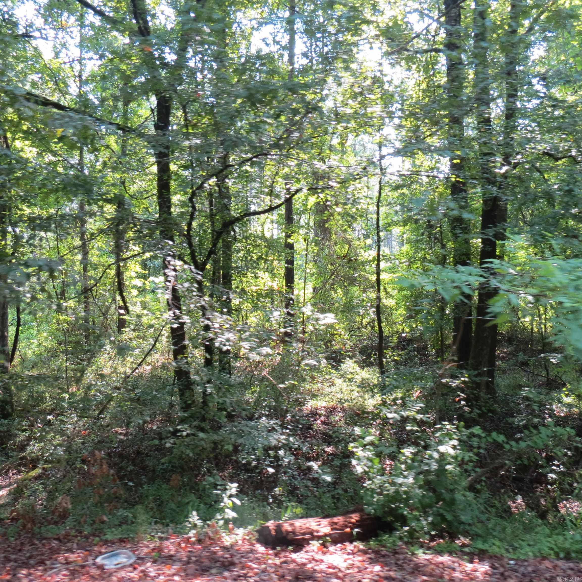 000 Highway 133  Wilmar, AR