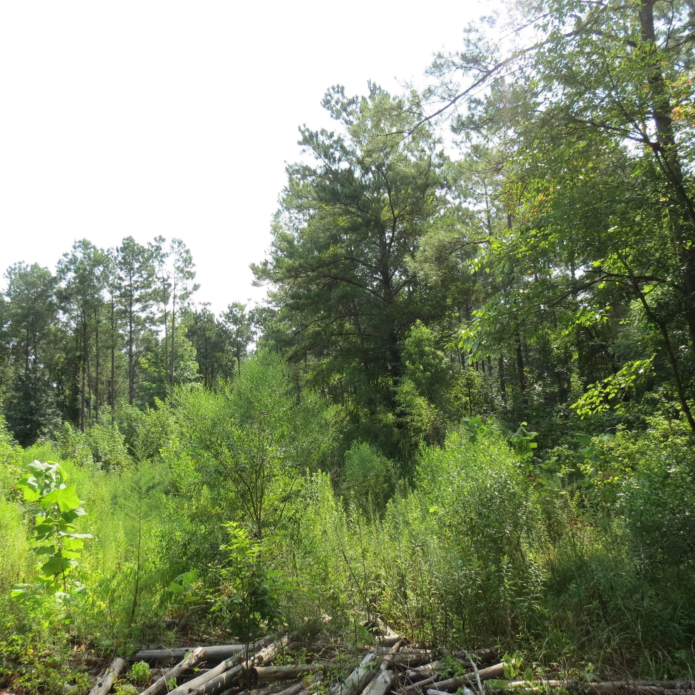 000 Highway 133  Wilmar, AR