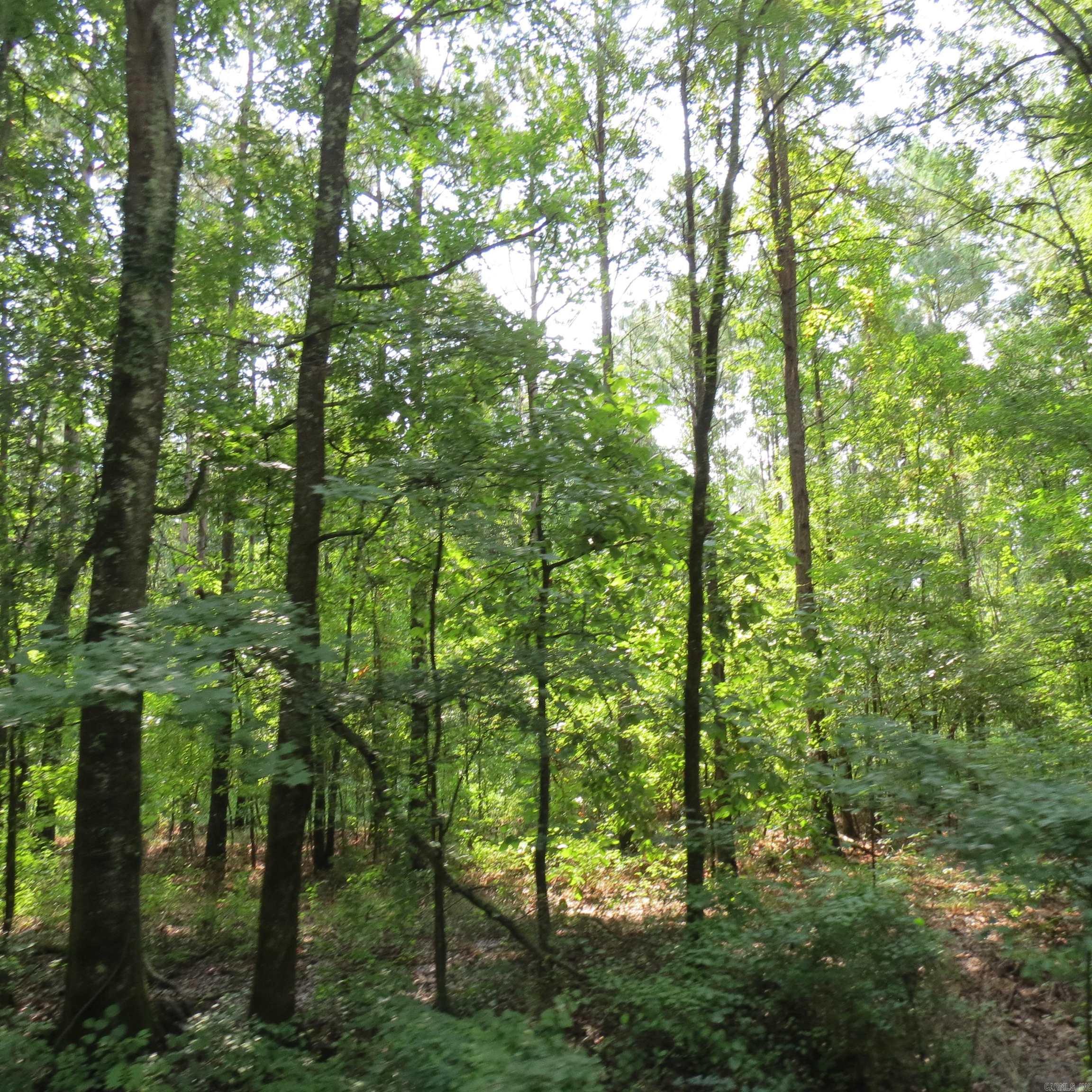 000 Highway 133  Wilmar, AR