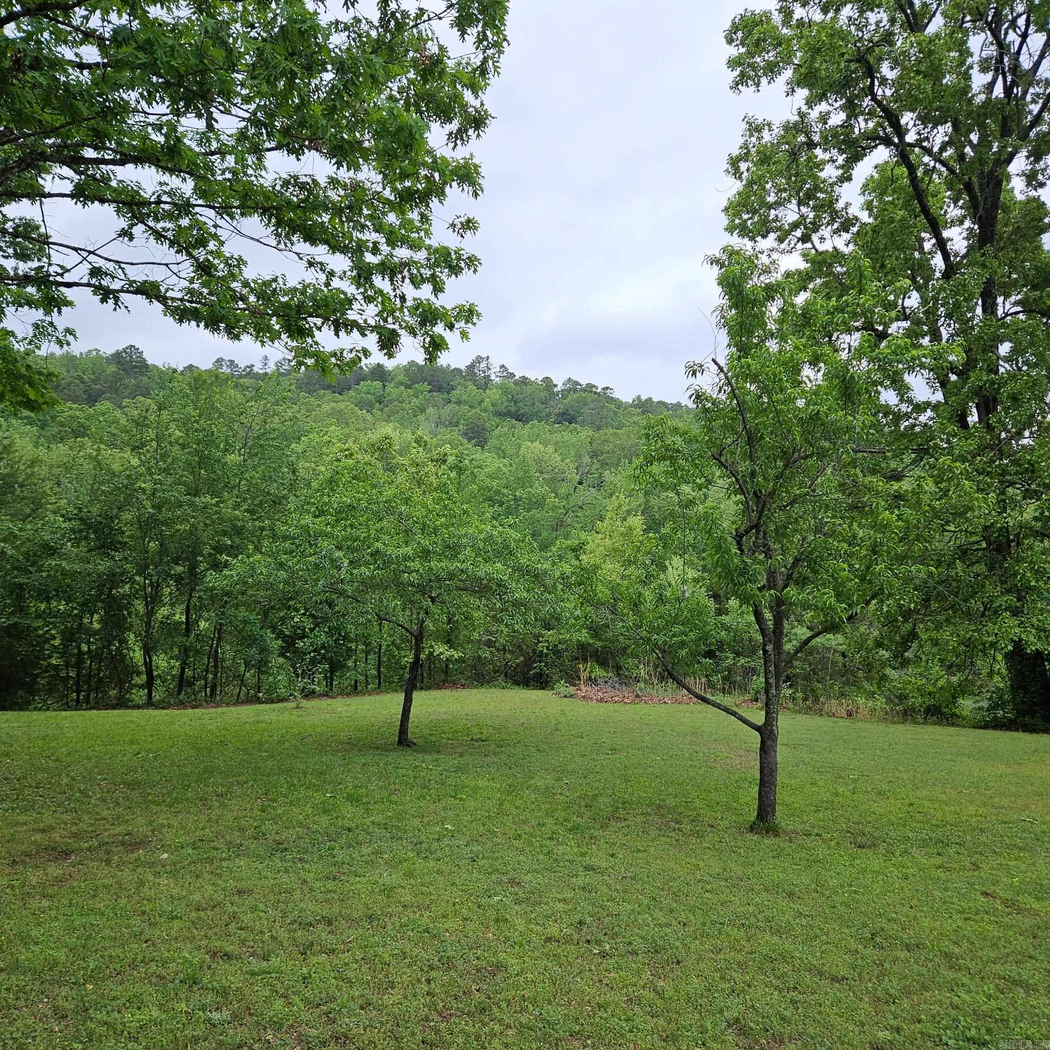 23379 Highway 307  Belleville, AR