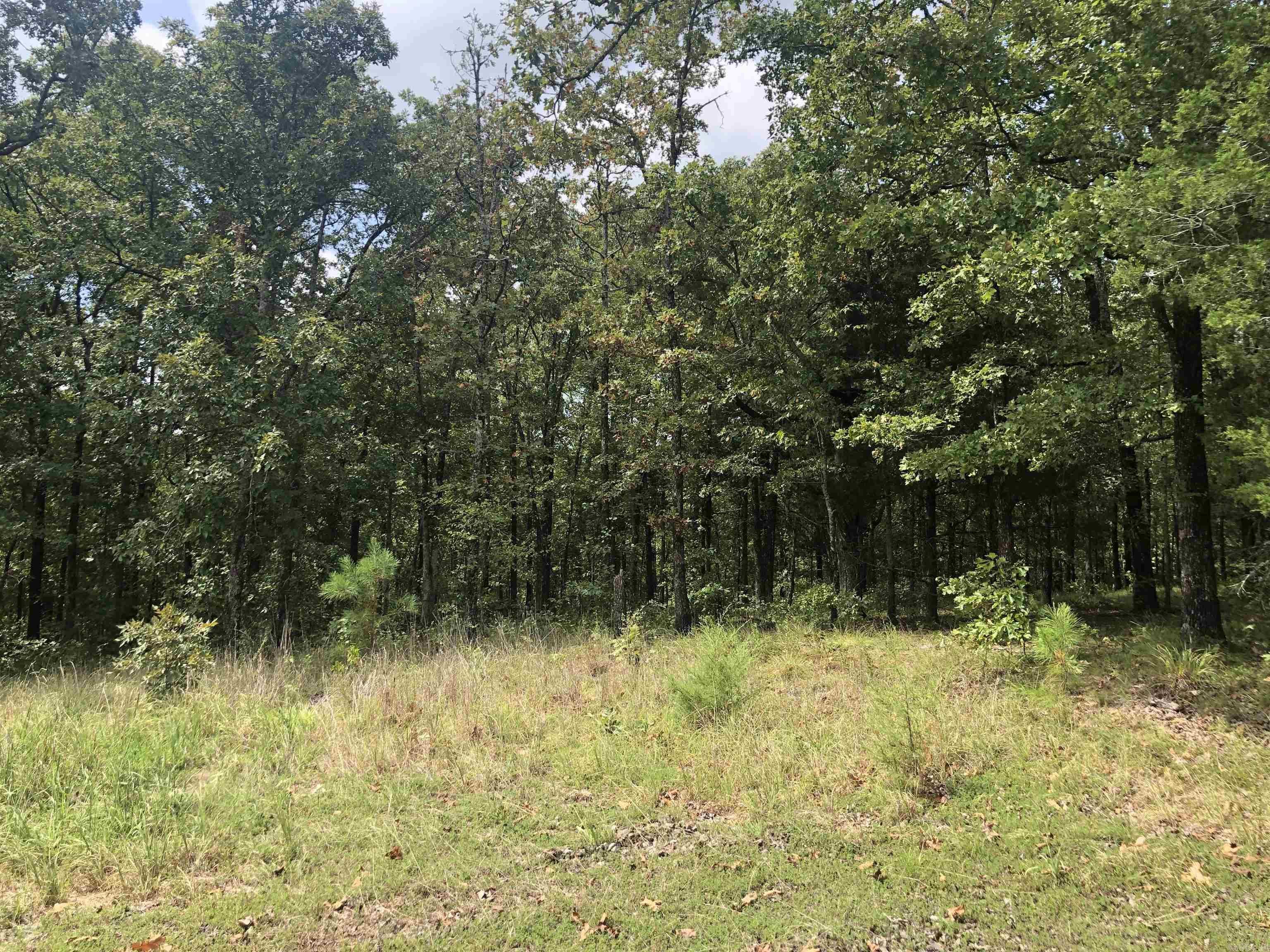Lot 15,16,17 Golden Meadows  Vilonia, AR