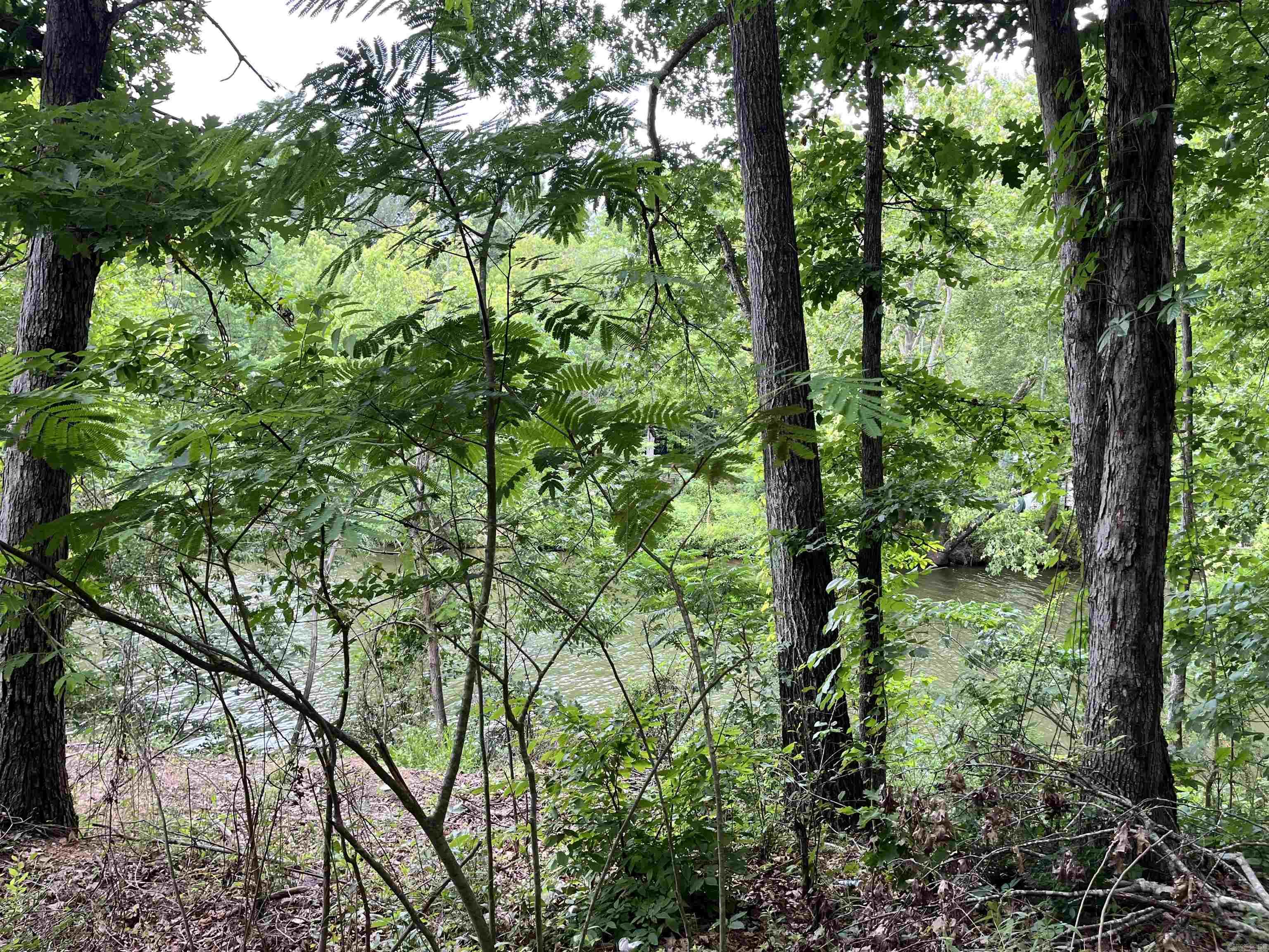 294 Ledgerock Rd  Hot Springs, AR