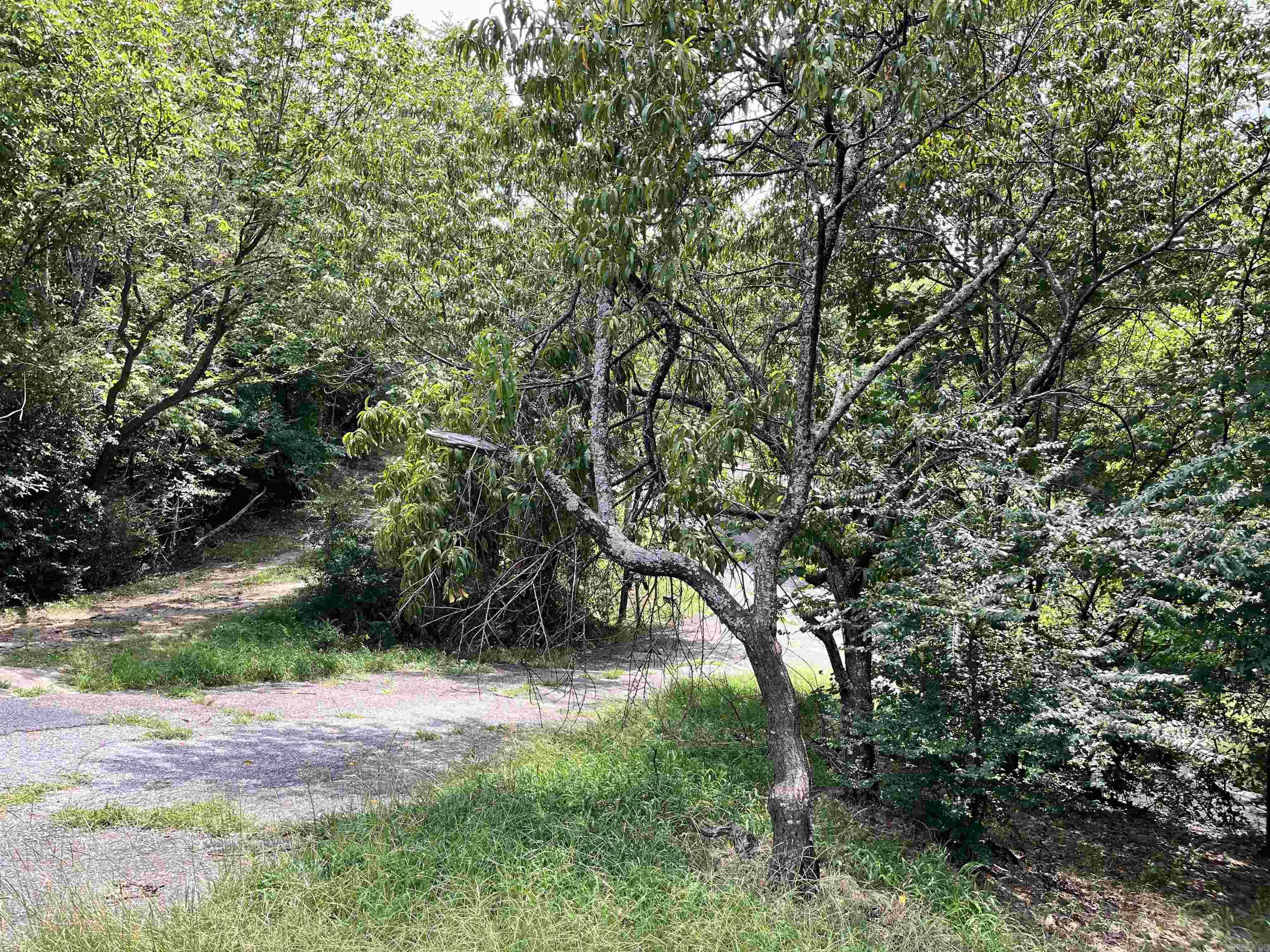 294 Ledgerock Rd  Hot Springs, AR