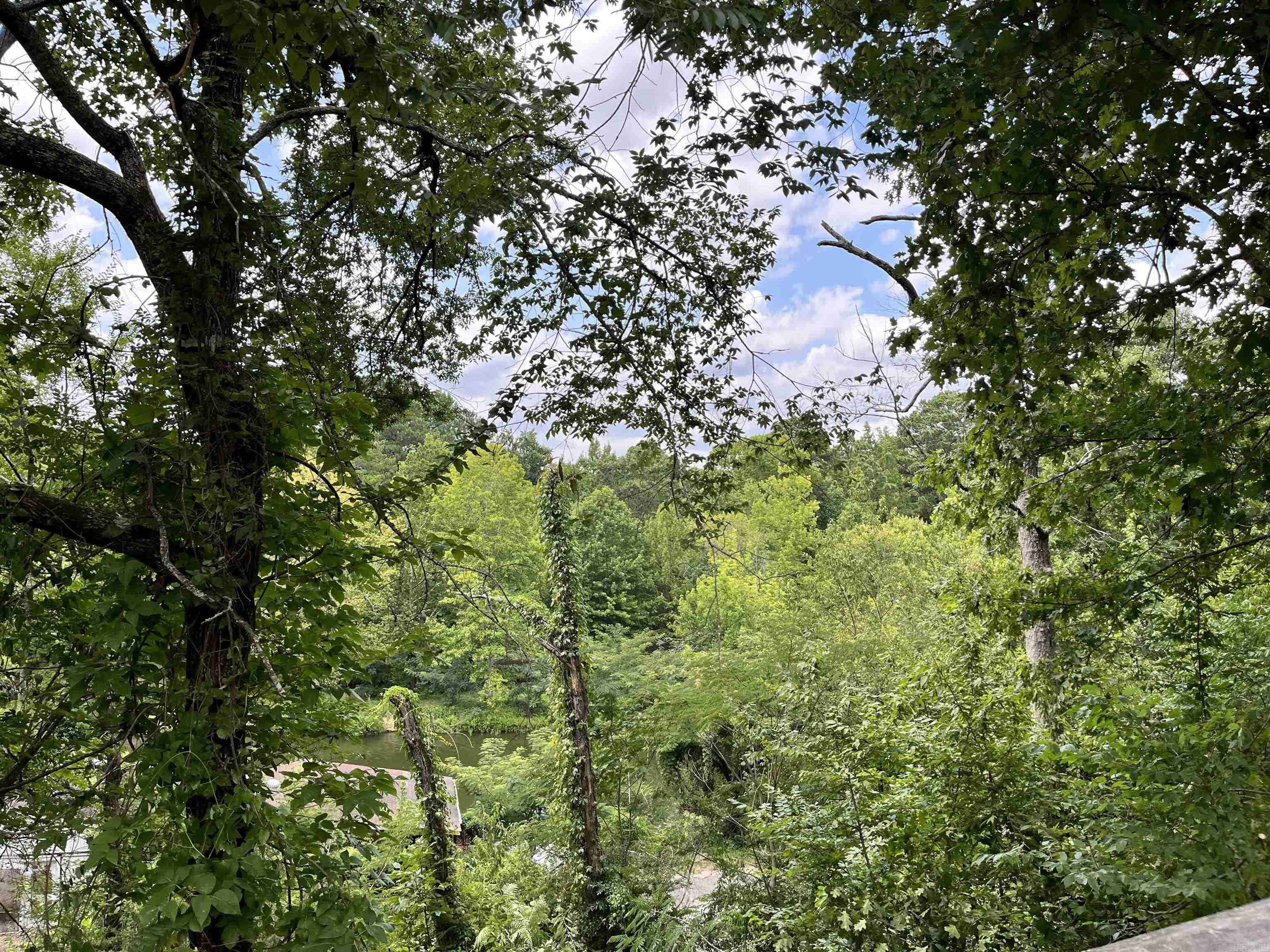 294 Ledgerock Rd  Hot Springs, AR