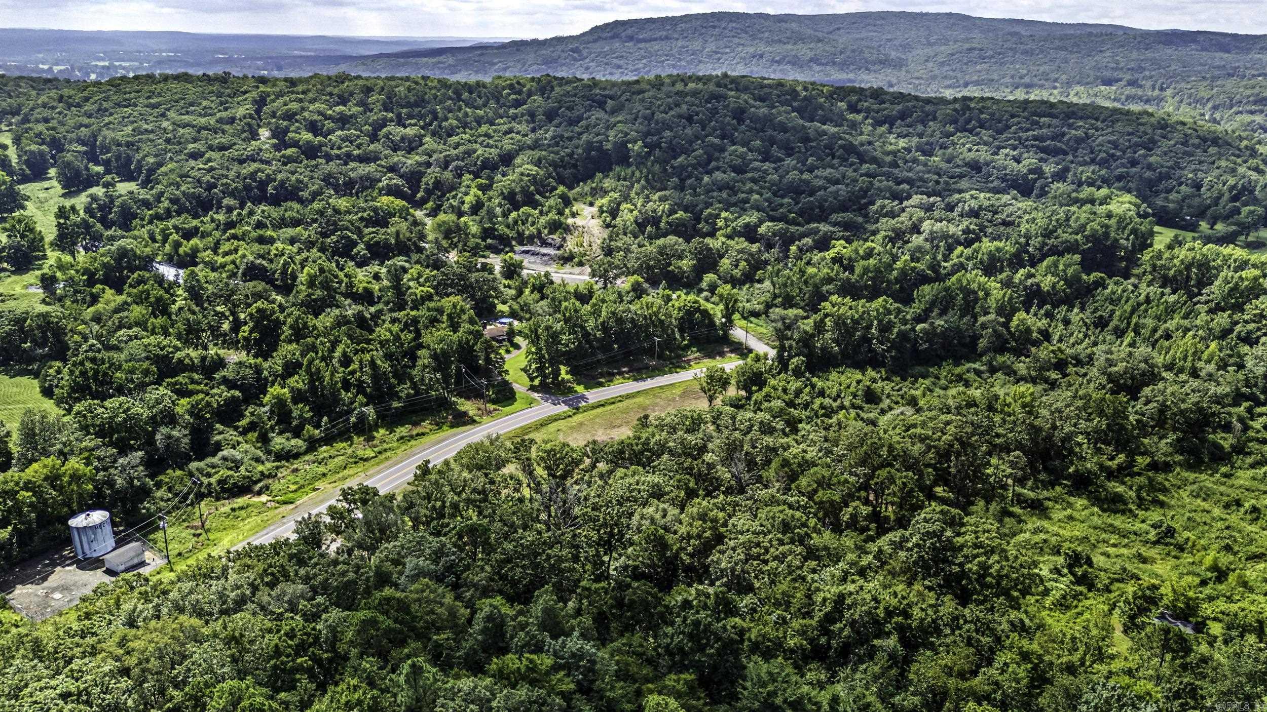 TRACT 4 - 13610 N SR 105  Hector, AR