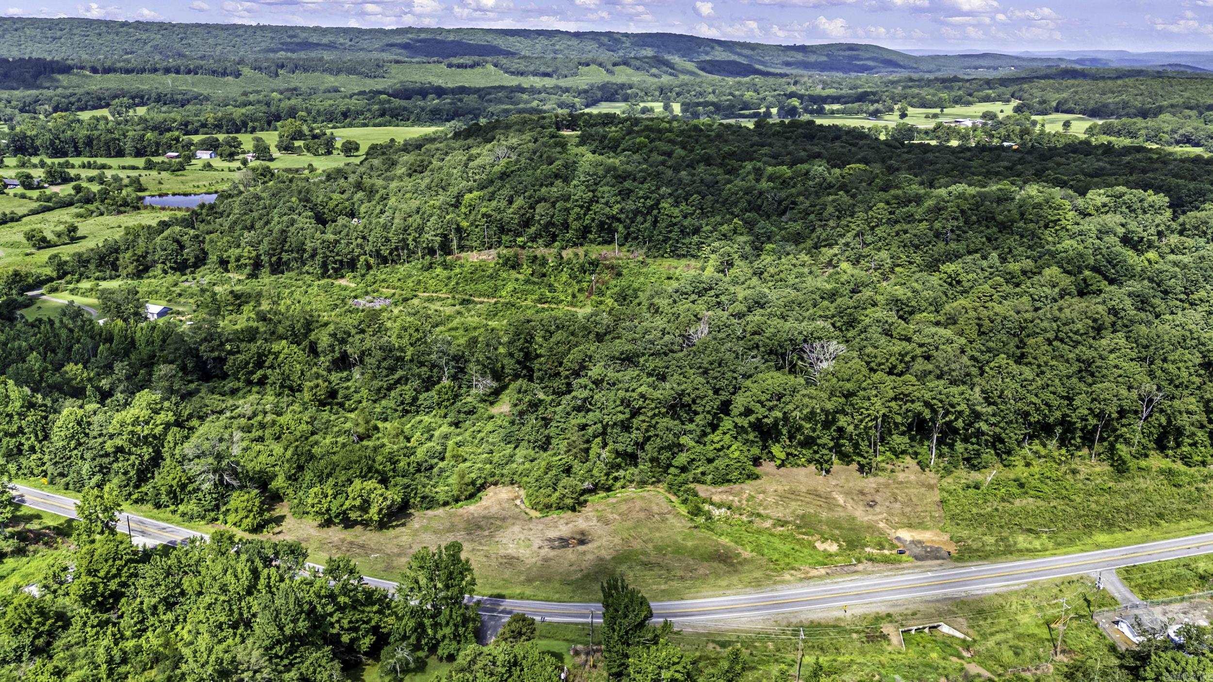 TRACT 4 - 13610 N SR 105  Hector, AR