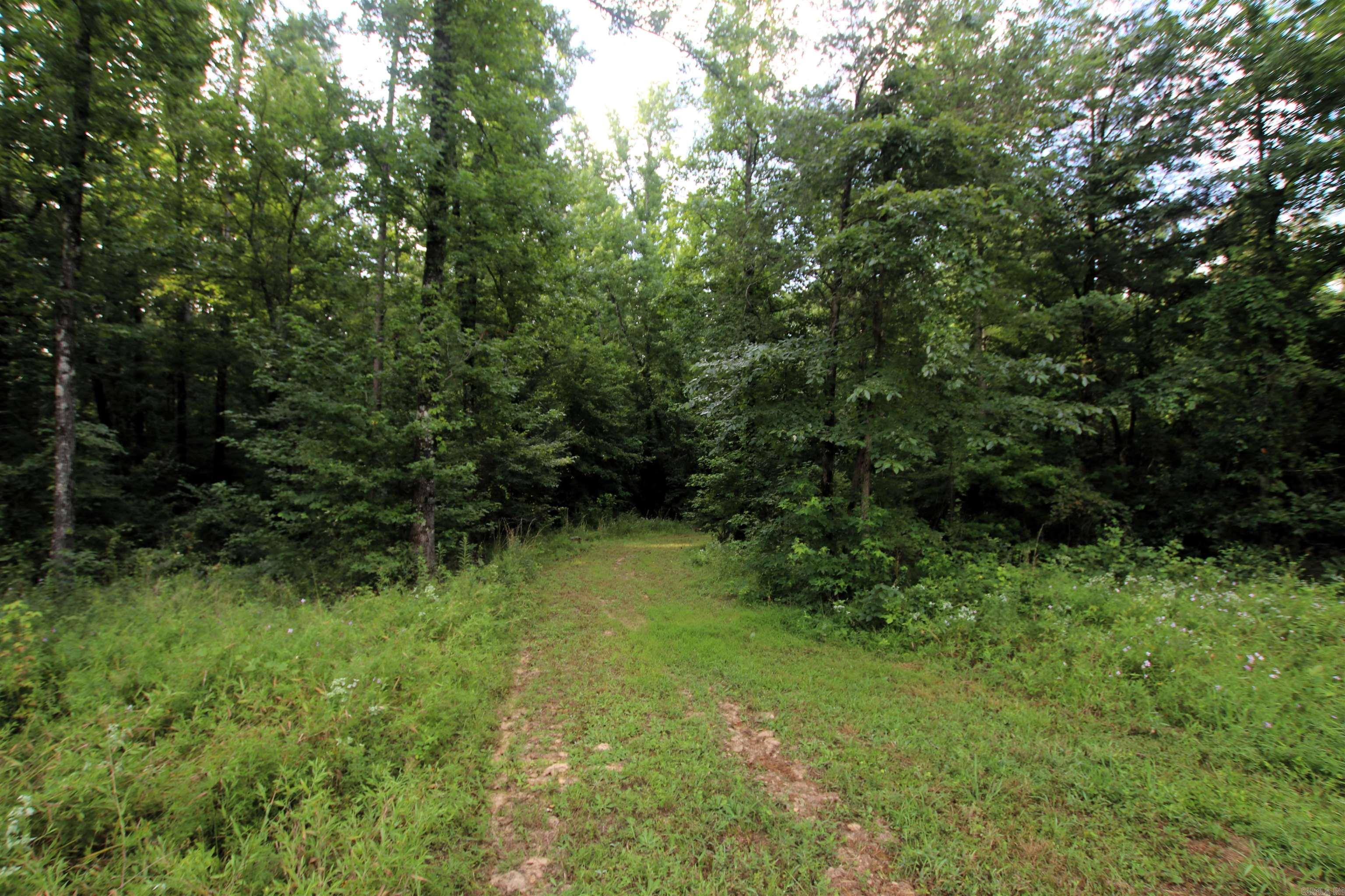 164 Reservior  Springfield, AR