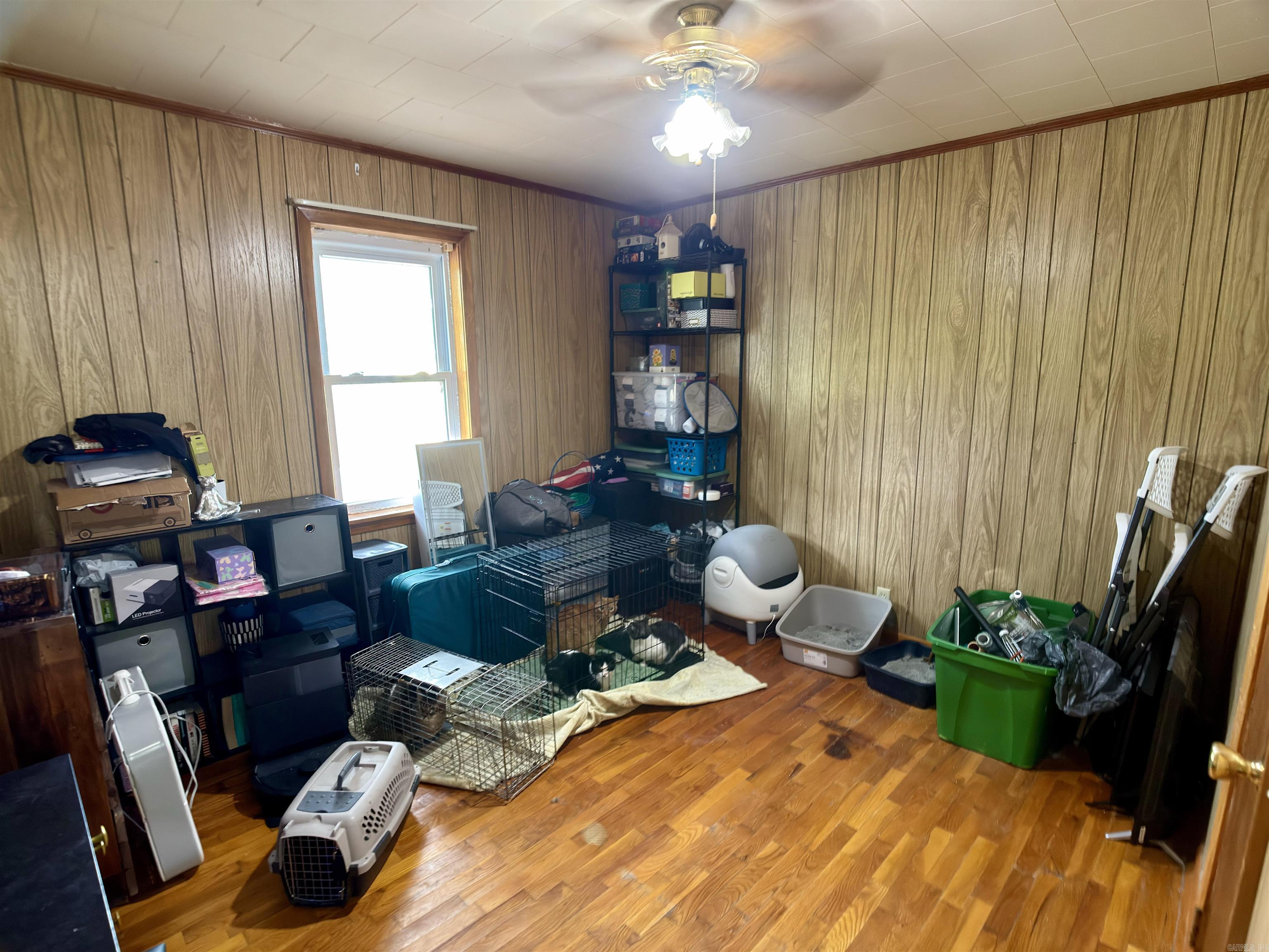 5185 Greene 203 Rd  Beech Grove, AR