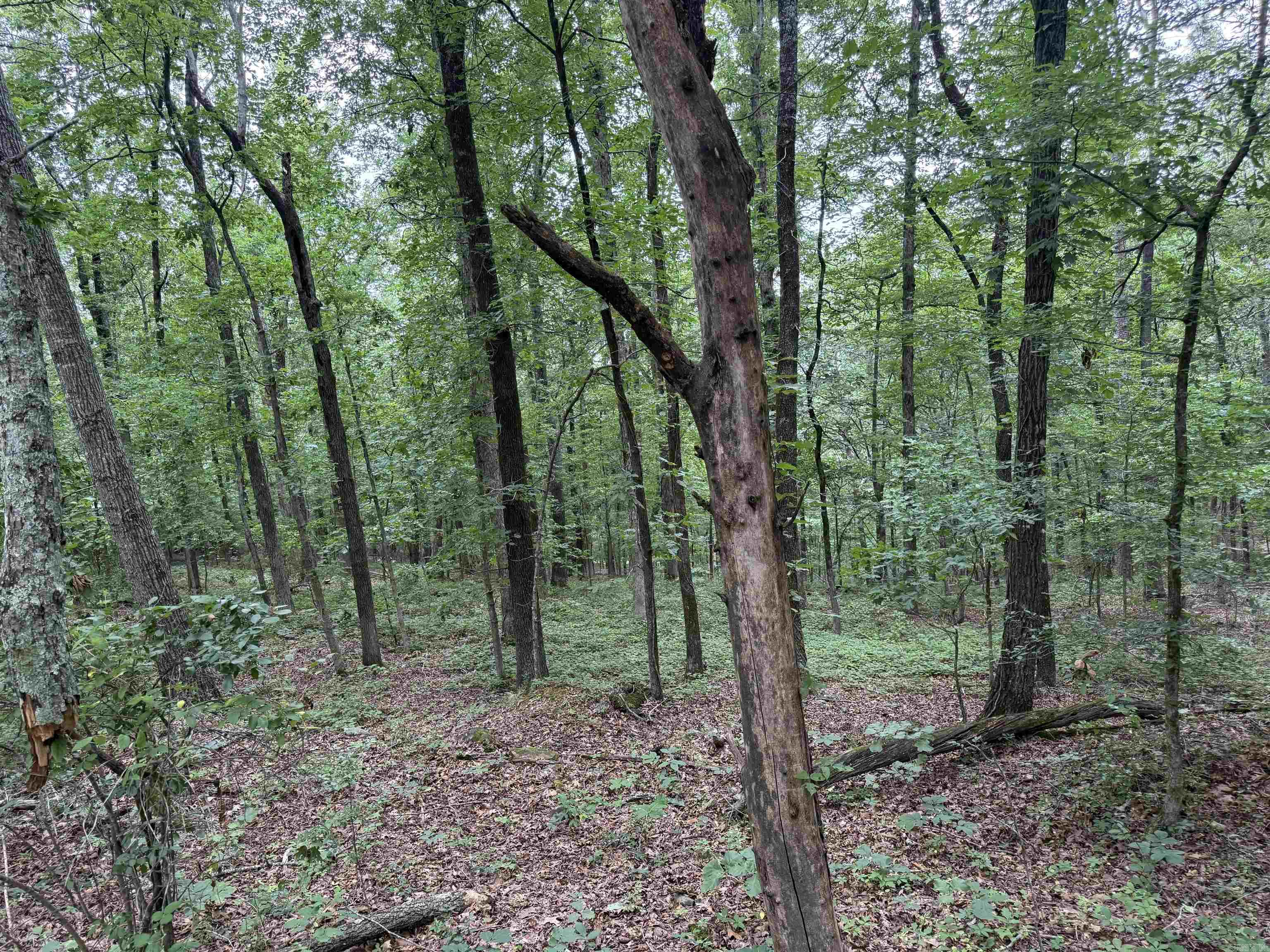  Pine  Heber Springs, AR