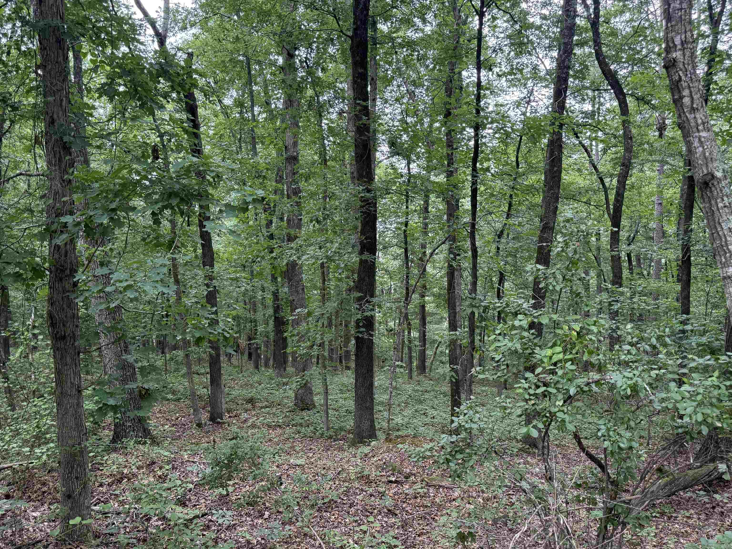  Pine  Heber Springs, AR