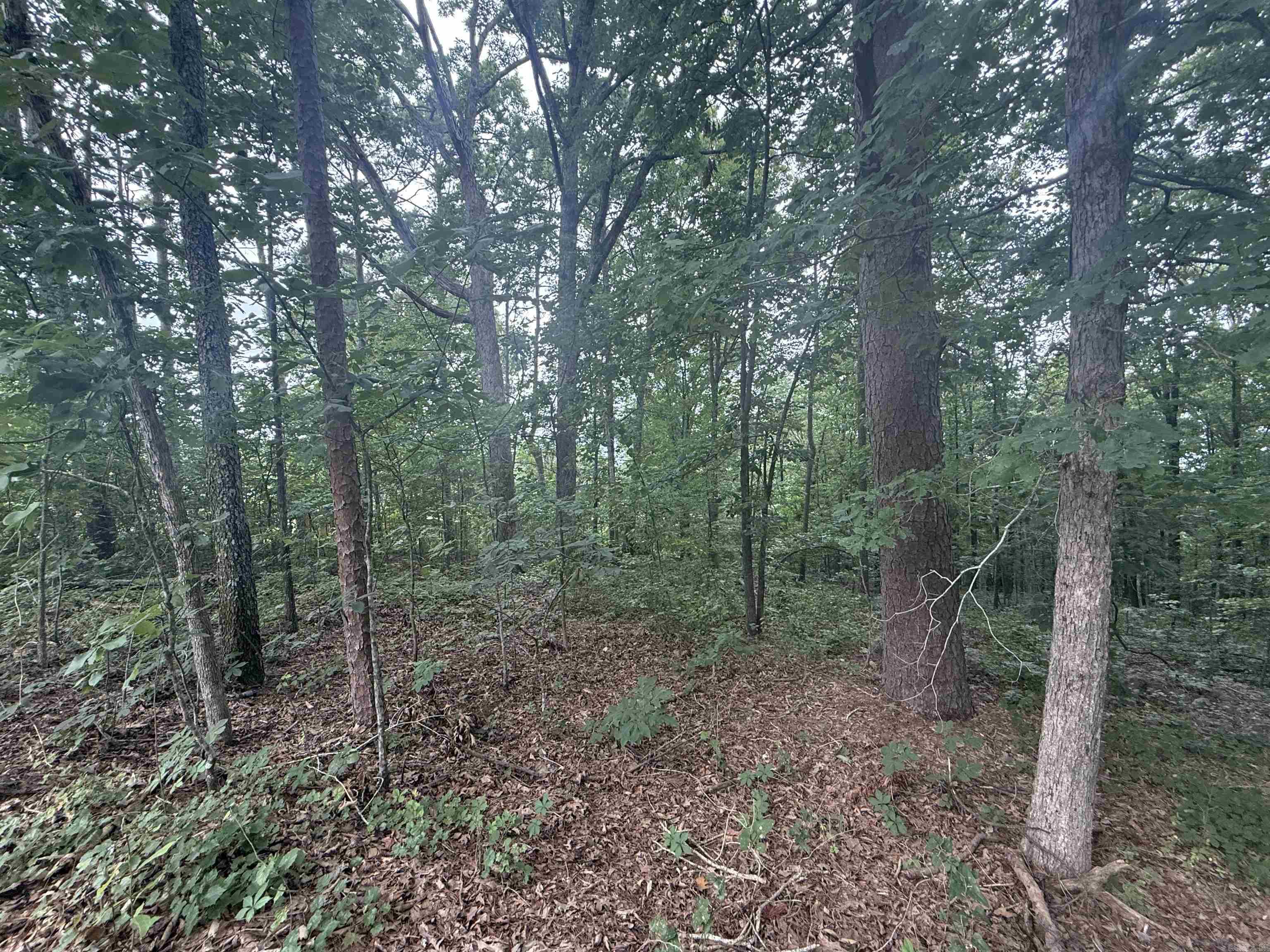  Pine  Heber Springs, AR