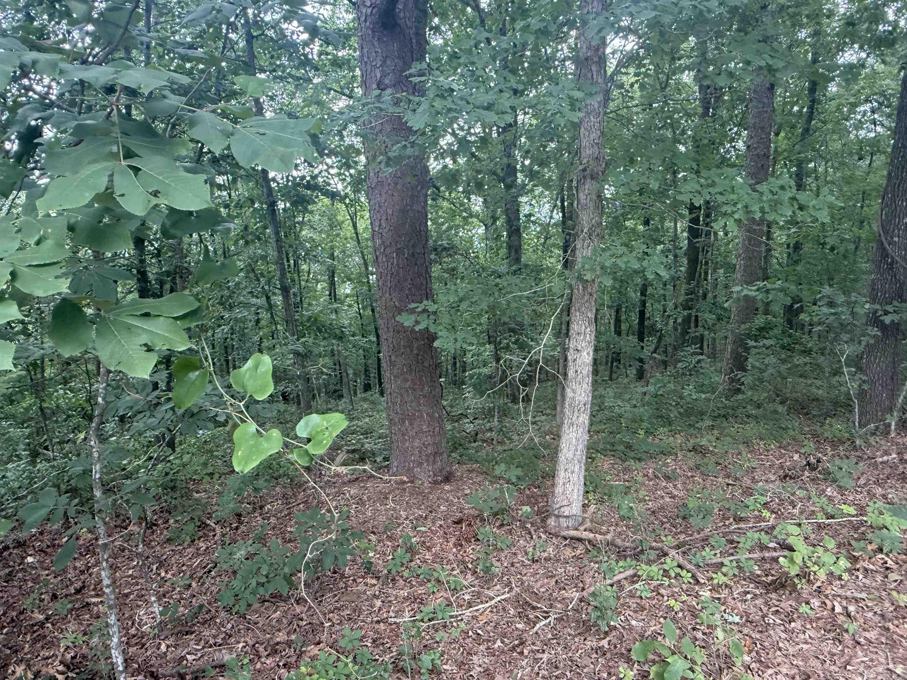  Pine  Heber Springs, AR