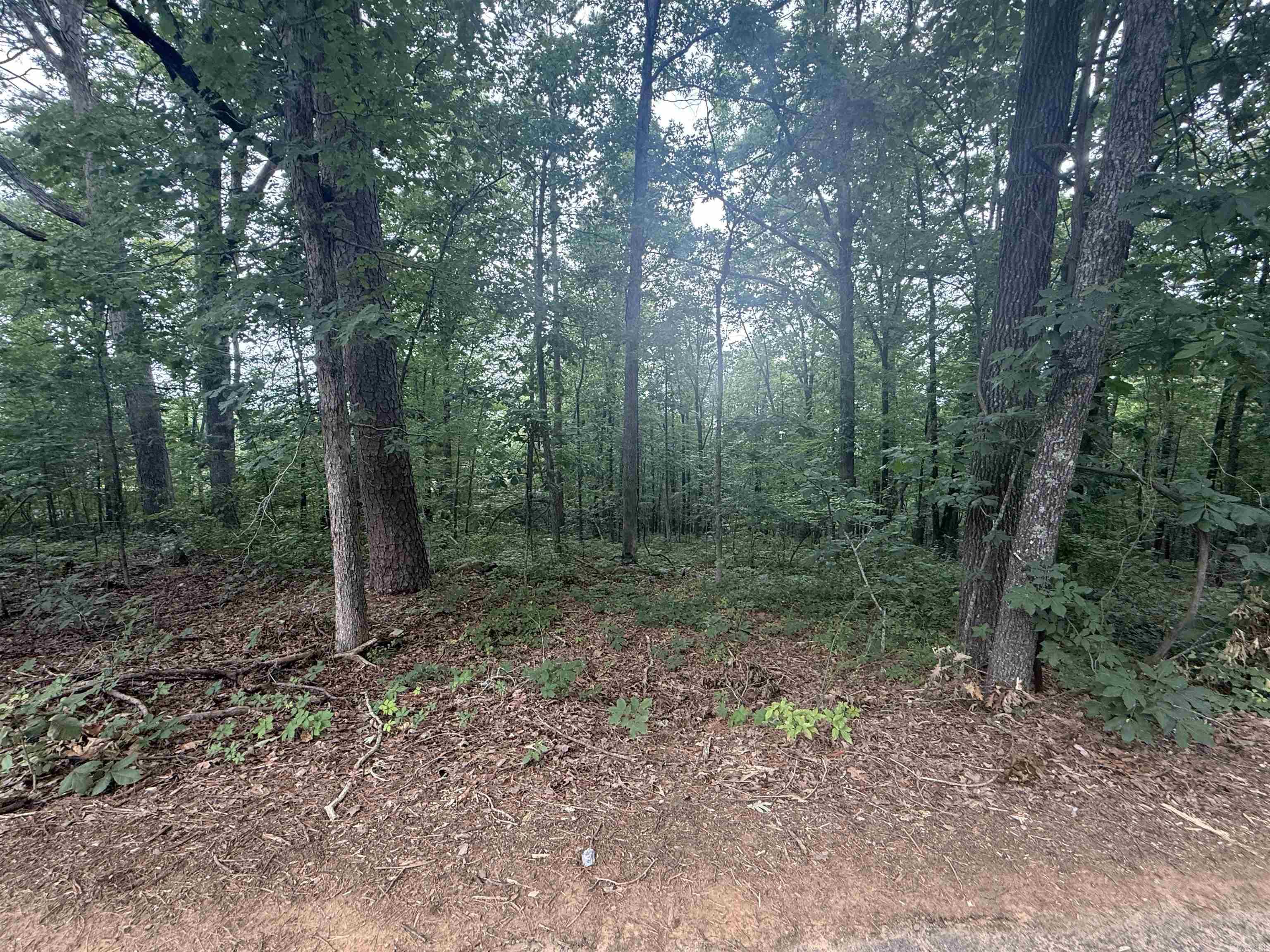  Pine  Heber Springs, AR