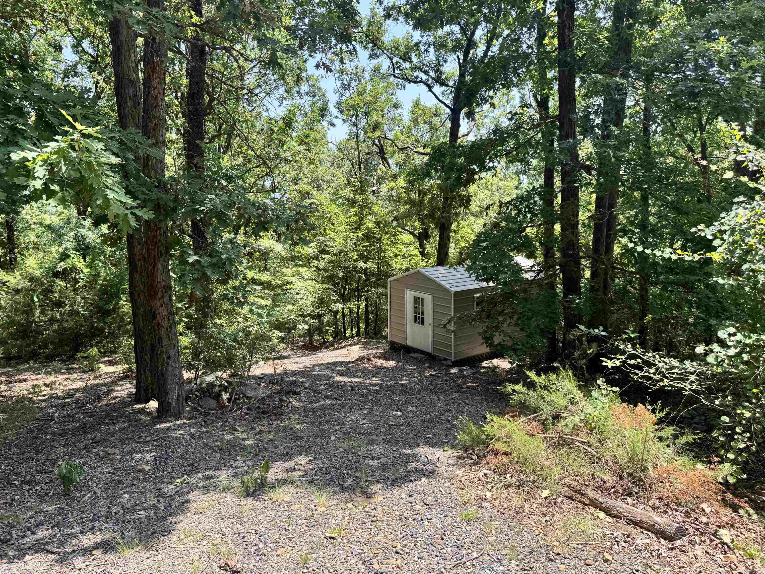 219 Shanendoah Lane  Mena, AR