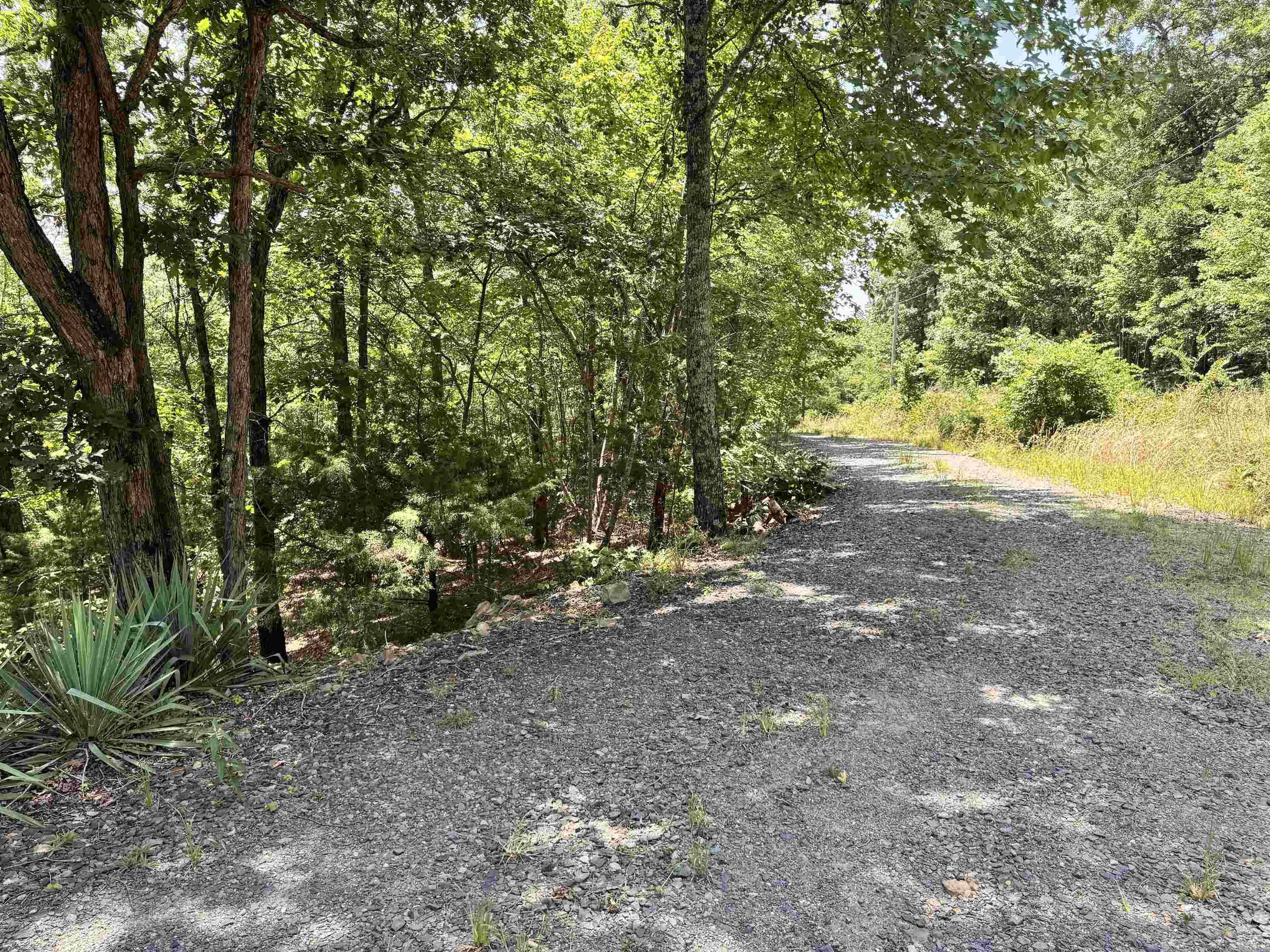 219 Shanendoah Lane  Mena, AR