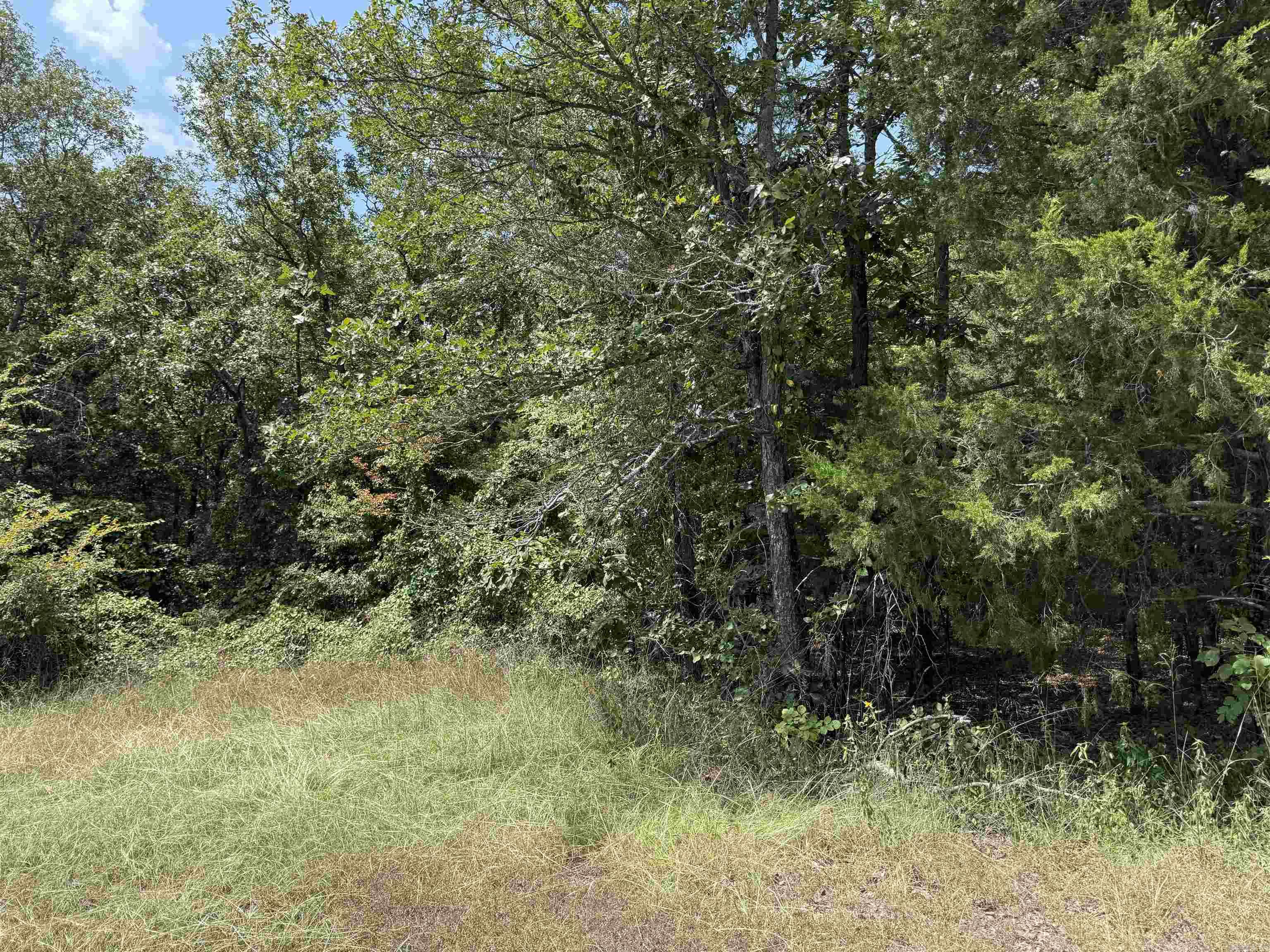00 Norris Lane  Russellville, AR