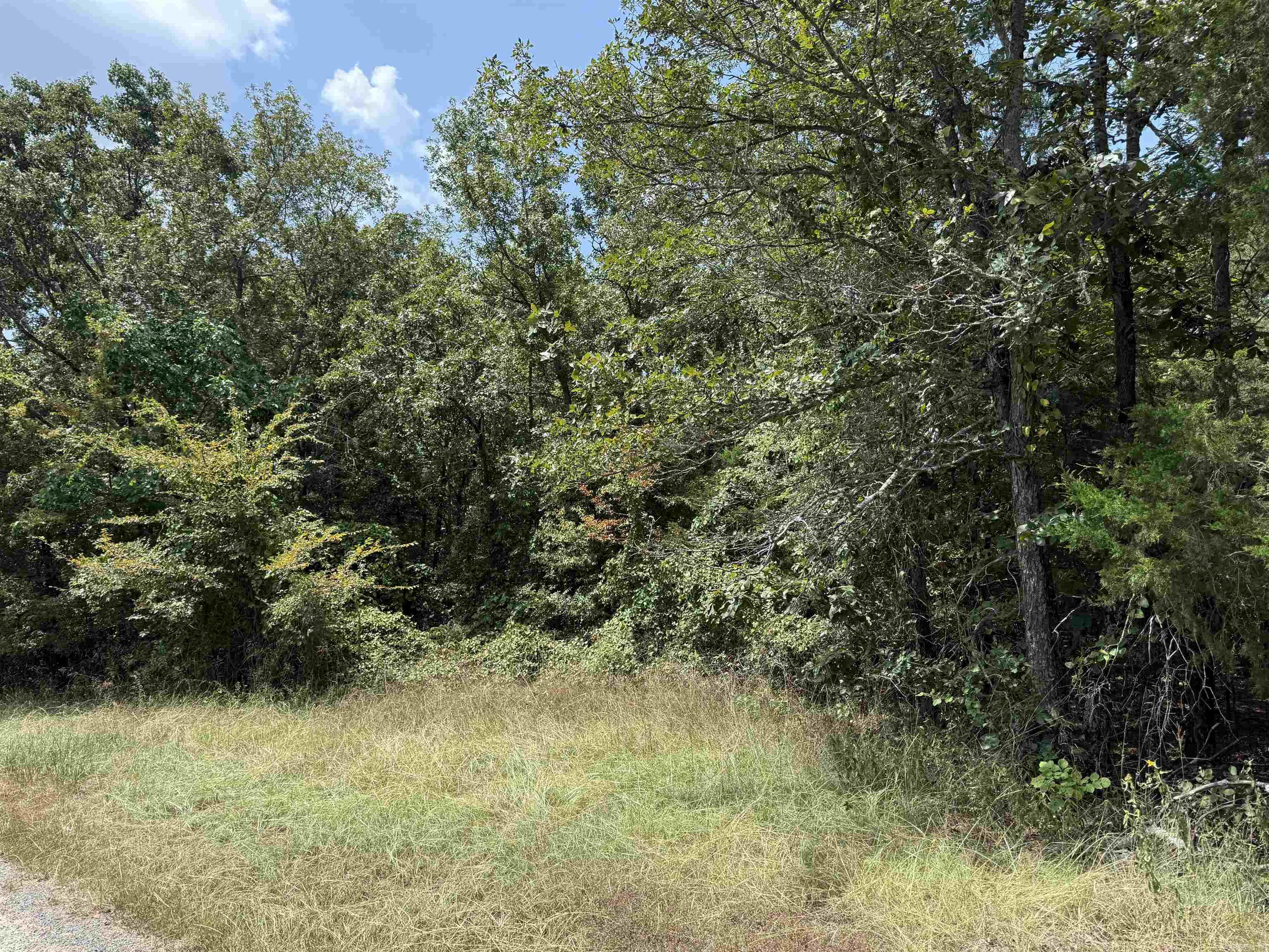 00 Norris Lane  Russellville, AR