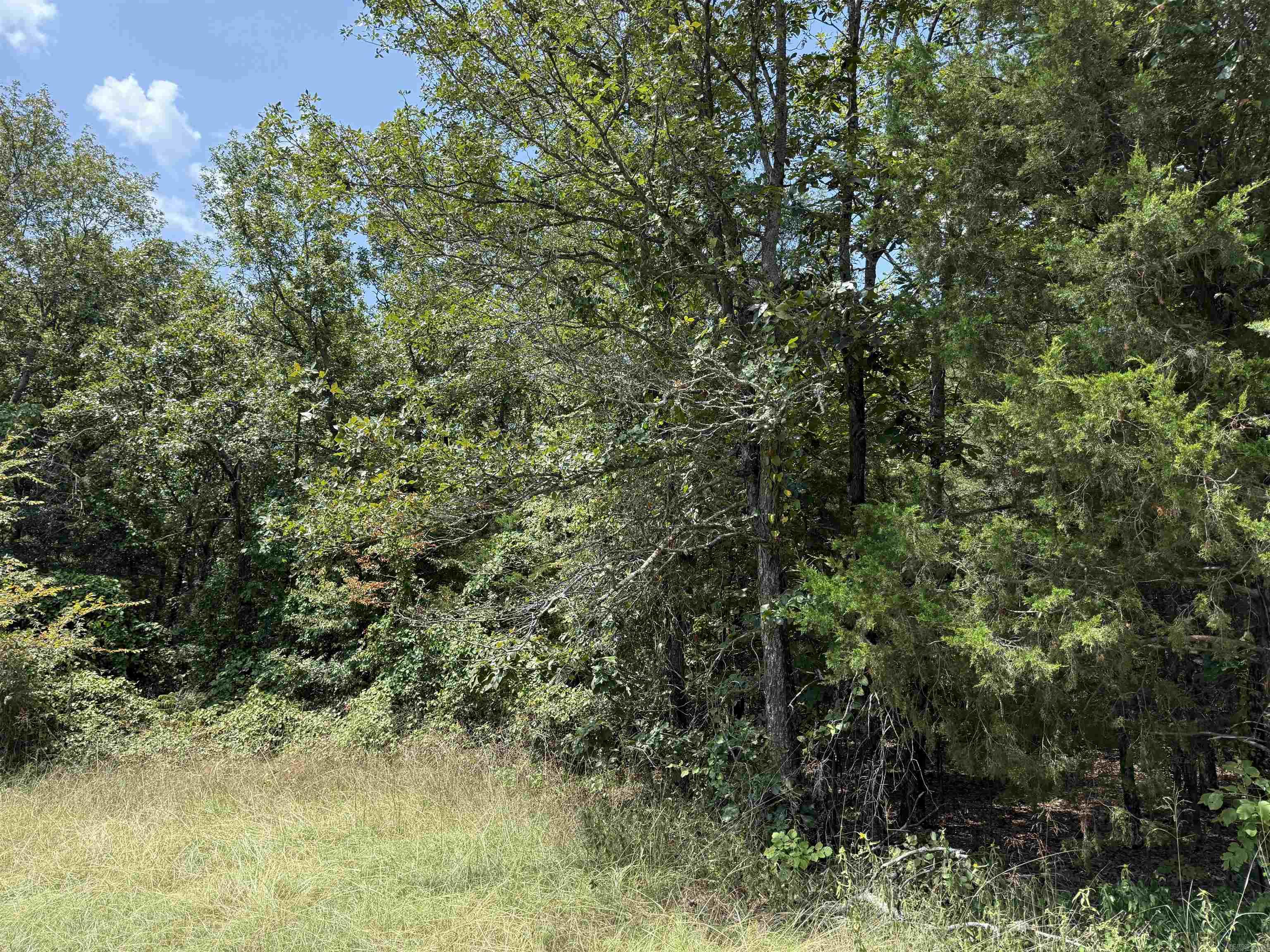 00 Norris Lane  Russellville, AR