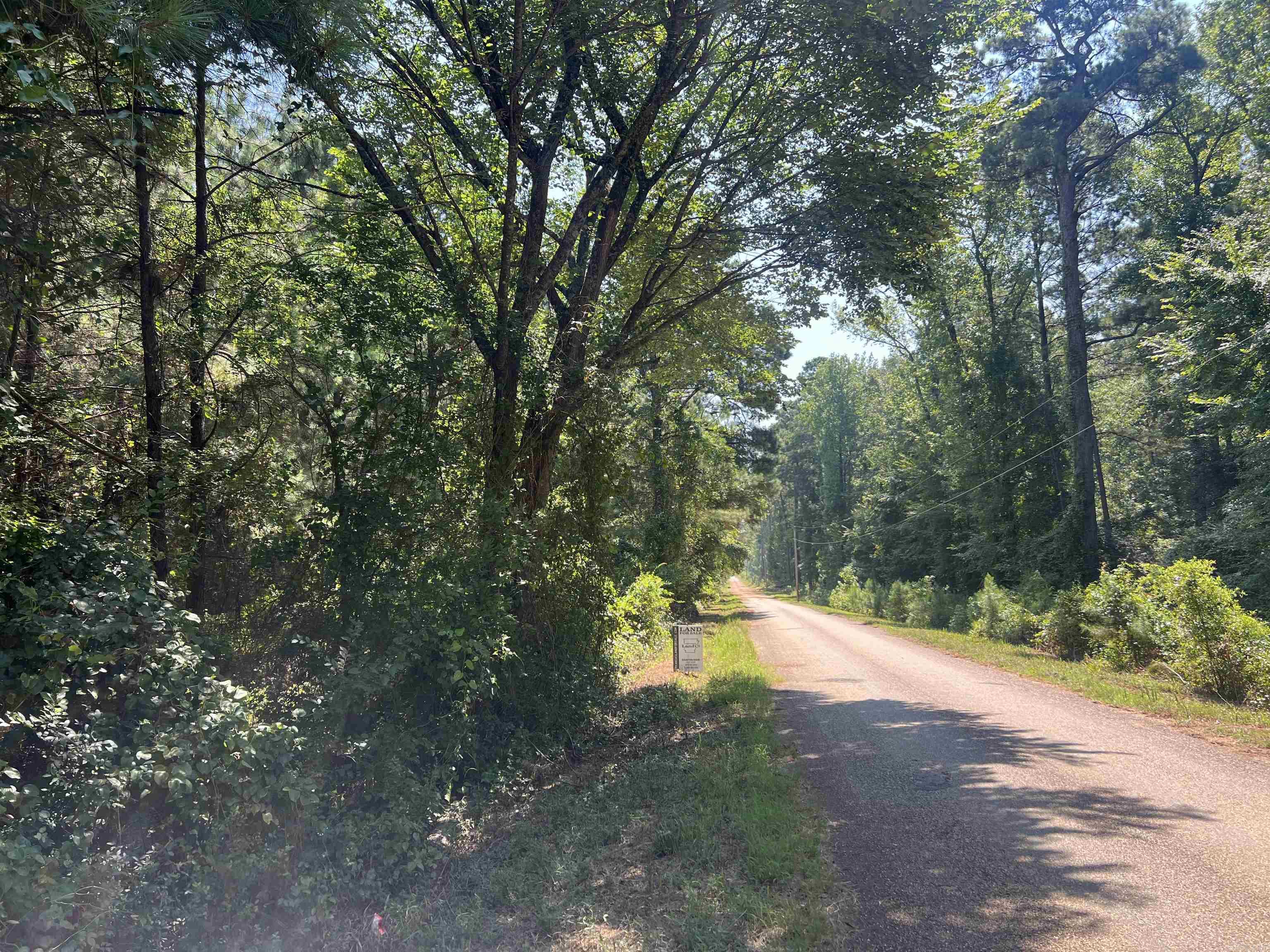 1608 Kelly Avenue  Sparkman, AR