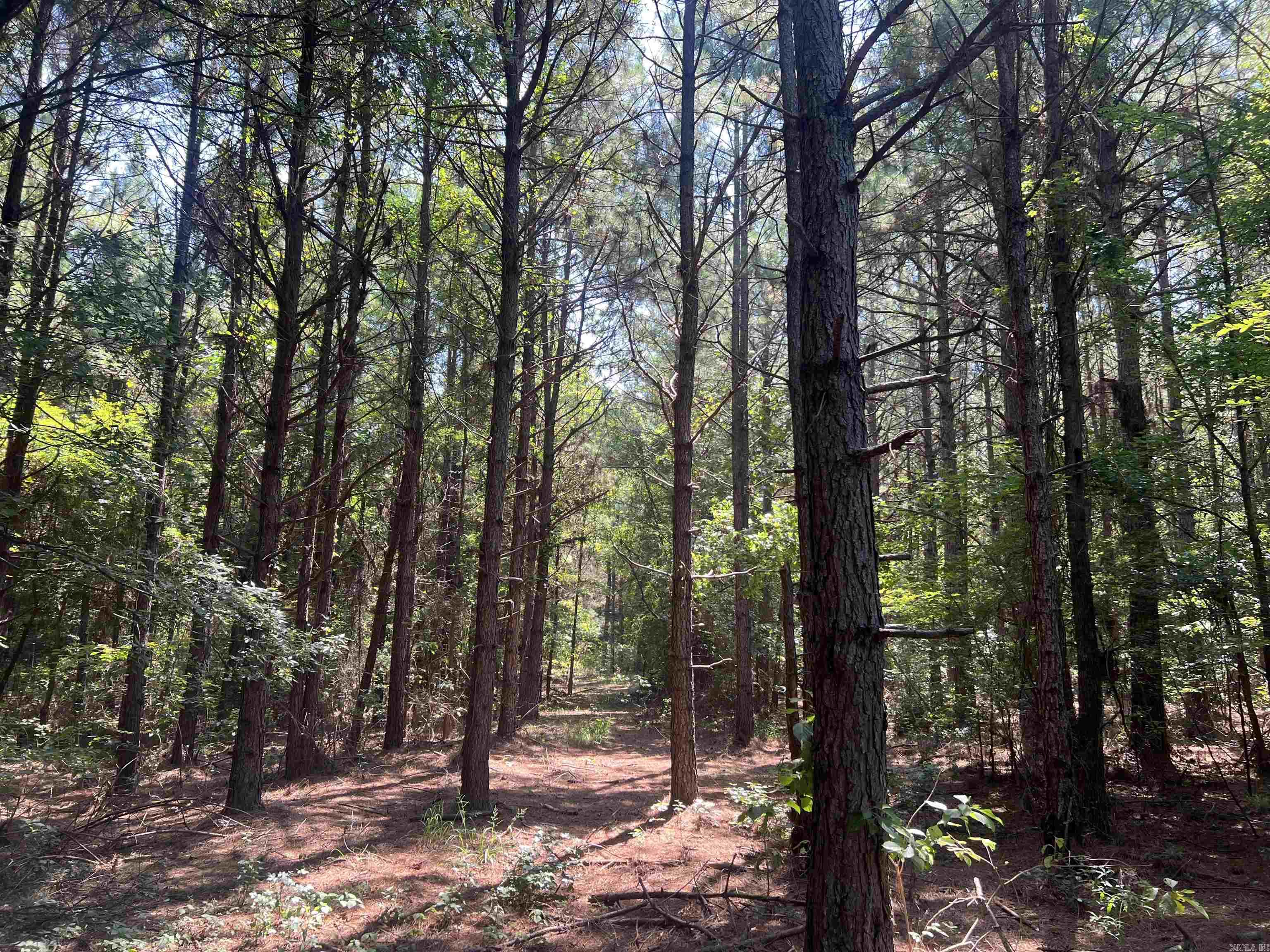 1608 Kelly Avenue  Sparkman, AR