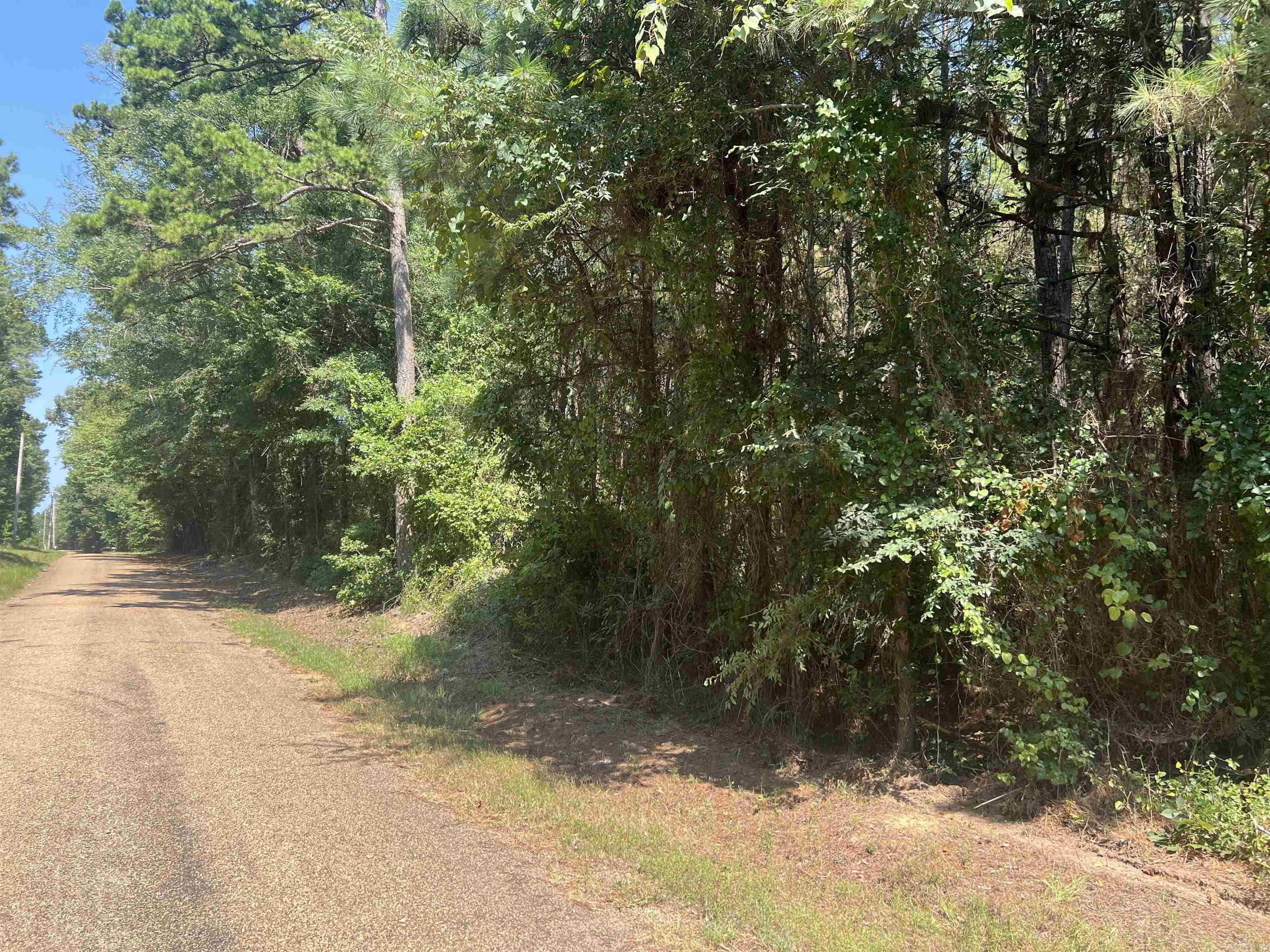 1608 Kelly Avenue  Sparkman, AR