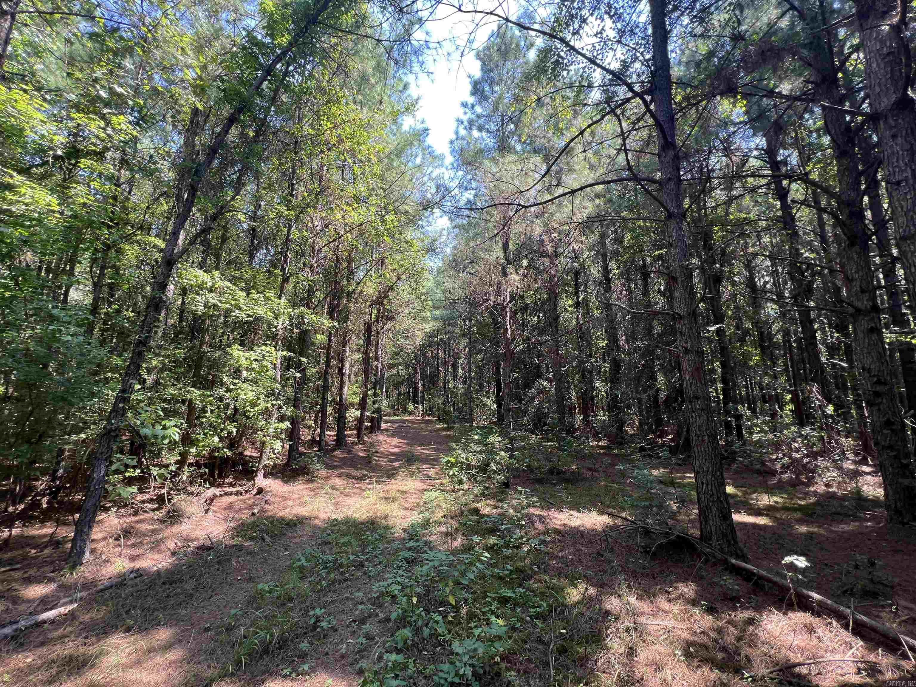 1608 Kelly Avenue  Sparkman, AR