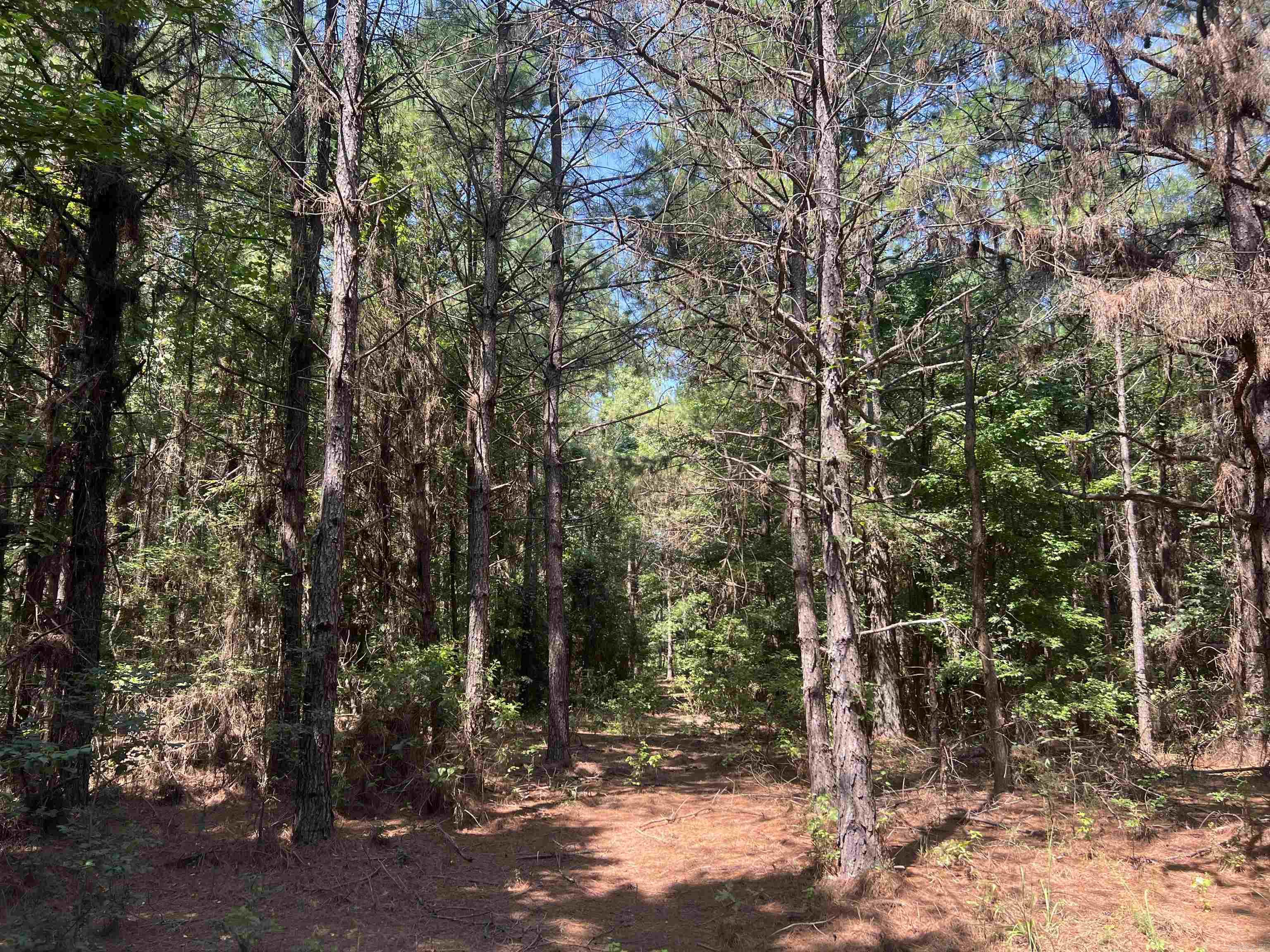 1608 Kelly Avenue  Sparkman, AR