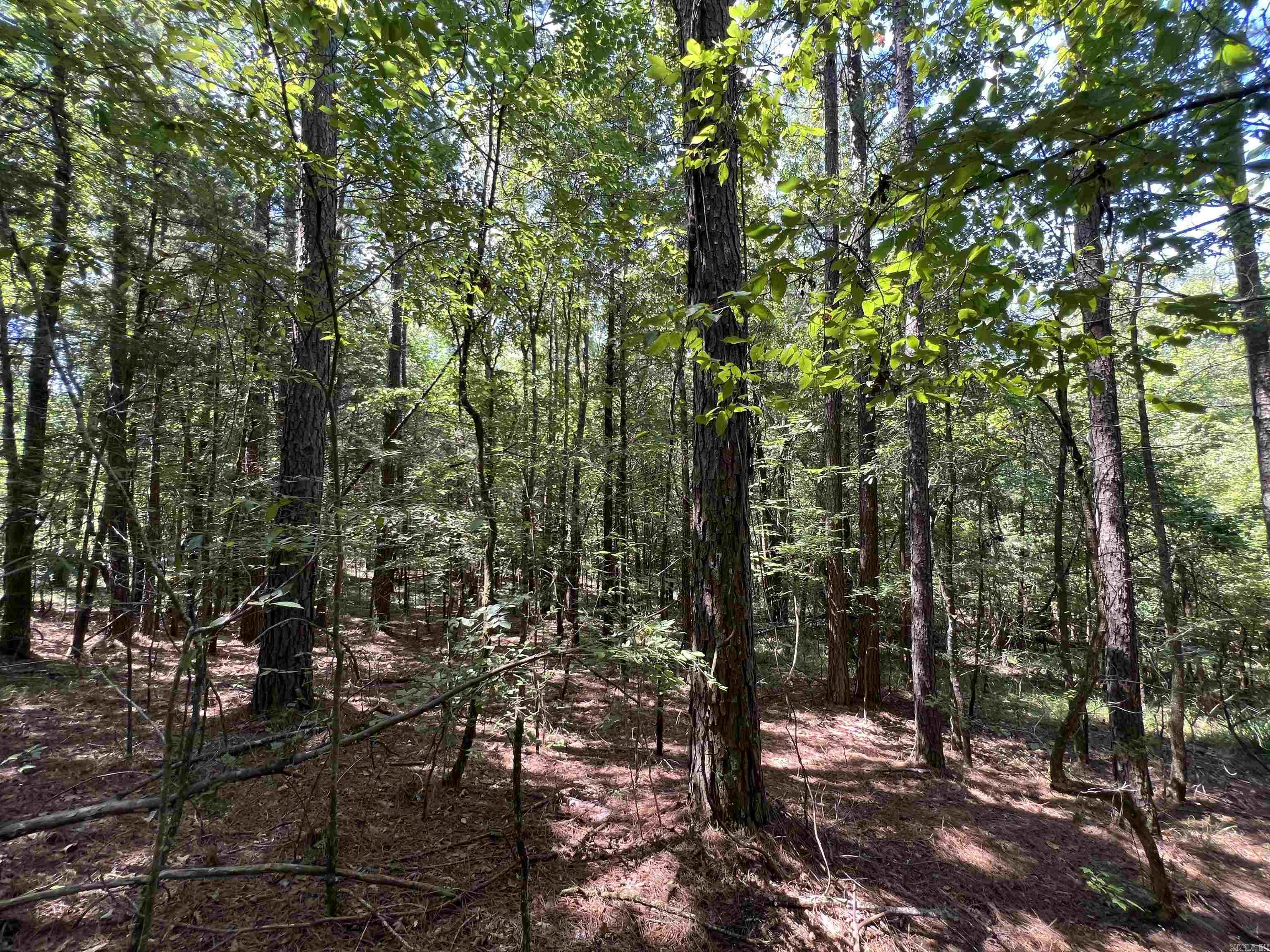 000 Davidson Campground Rd  Okolona, AR