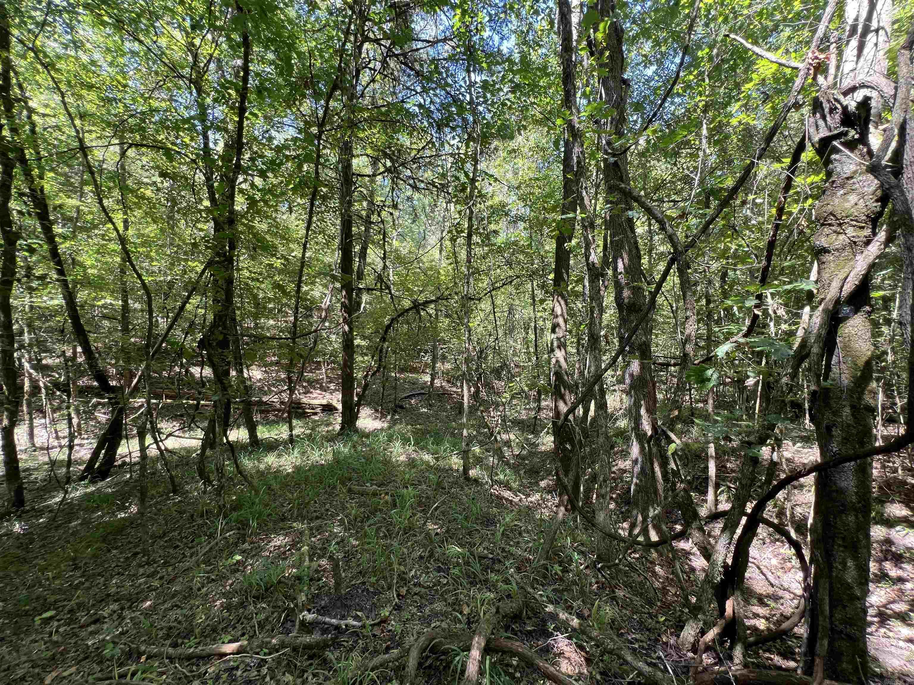 000 Davidson Campground Rd  Okolona, AR