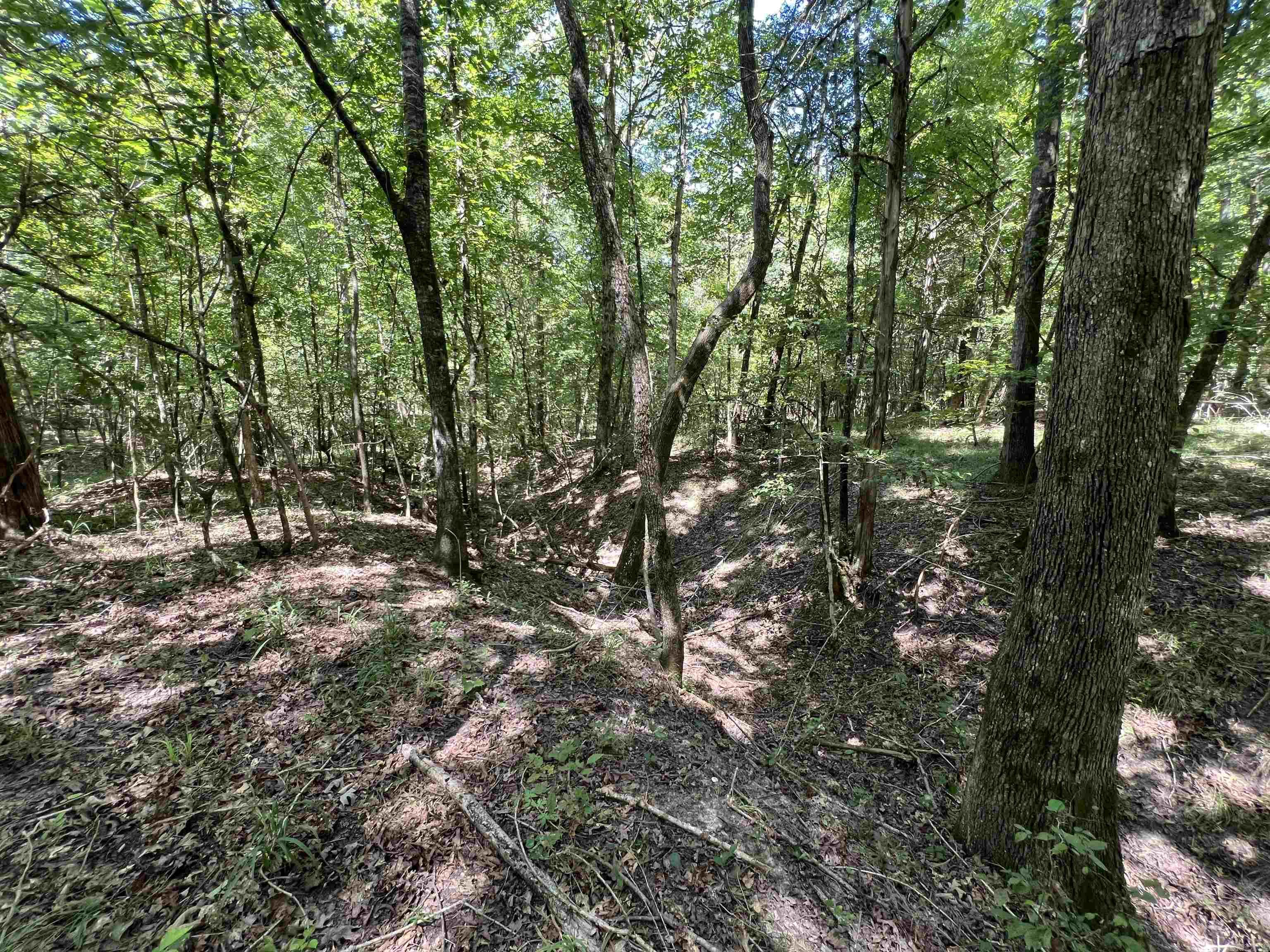 000 Davidson Campground Rd  Okolona, AR