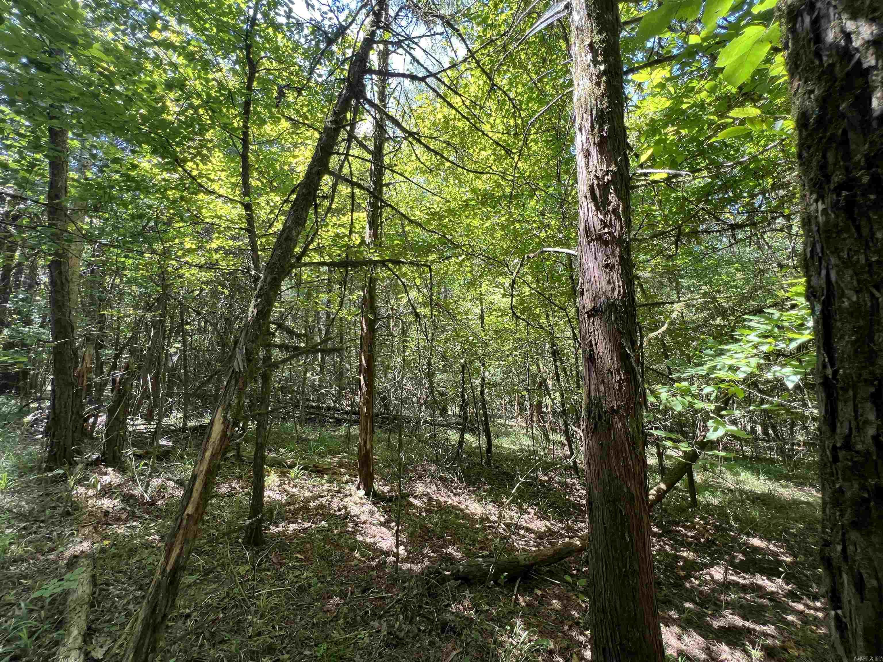 000 Davidson Campground Rd  Okolona, AR