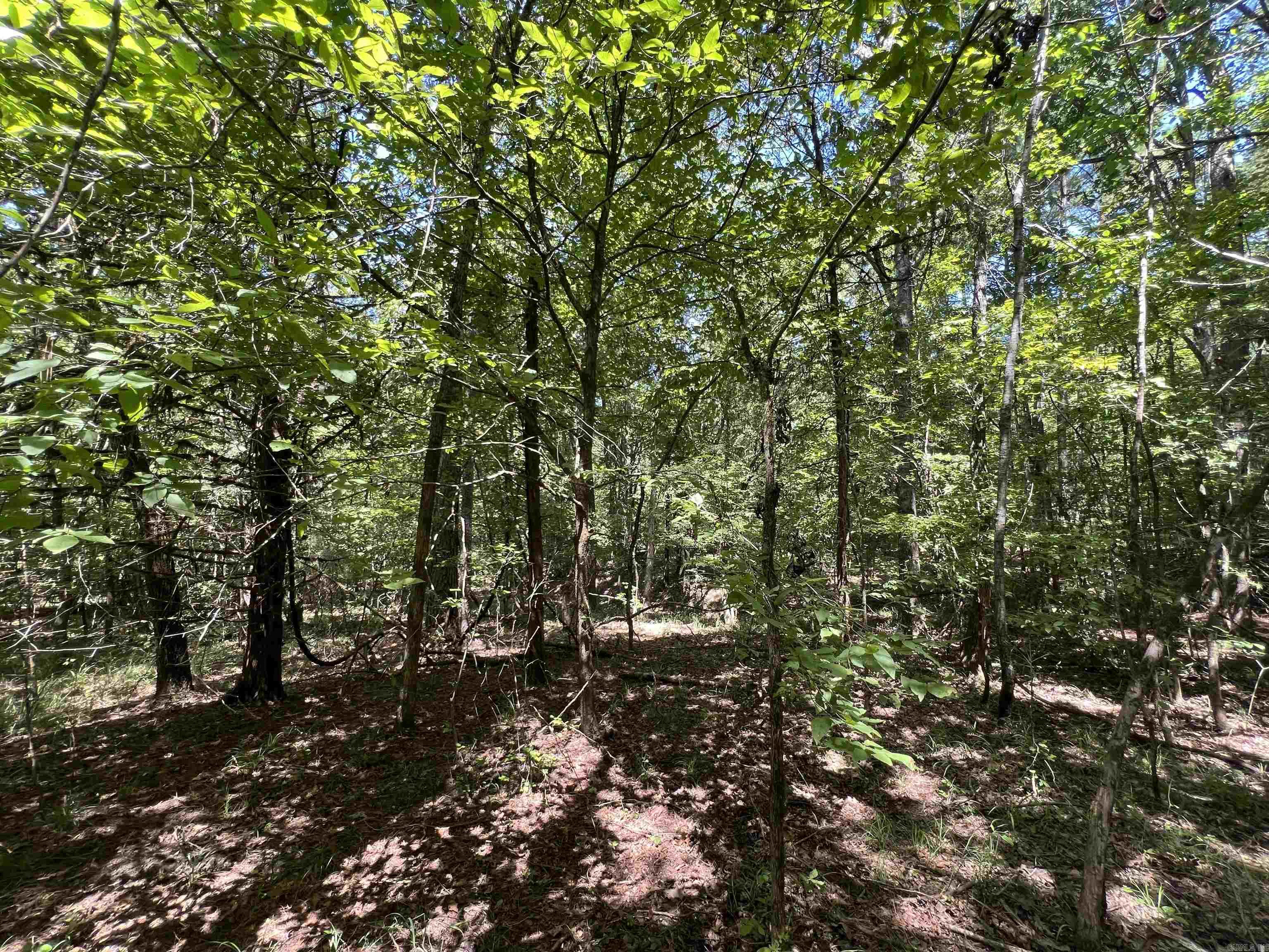 000 Davidson Campground Rd  Okolona, AR