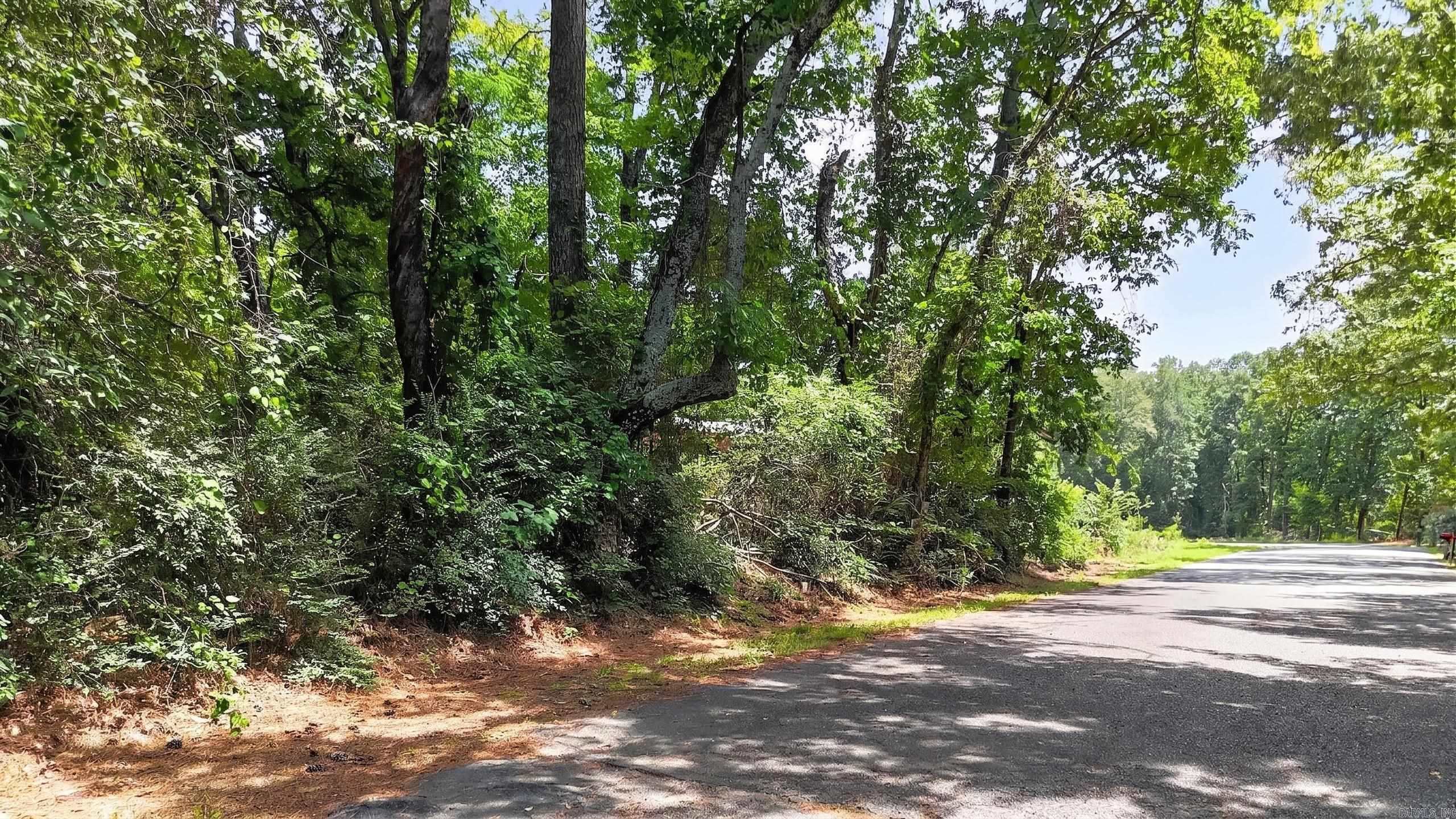 317 Langston  Hot Springs, AR