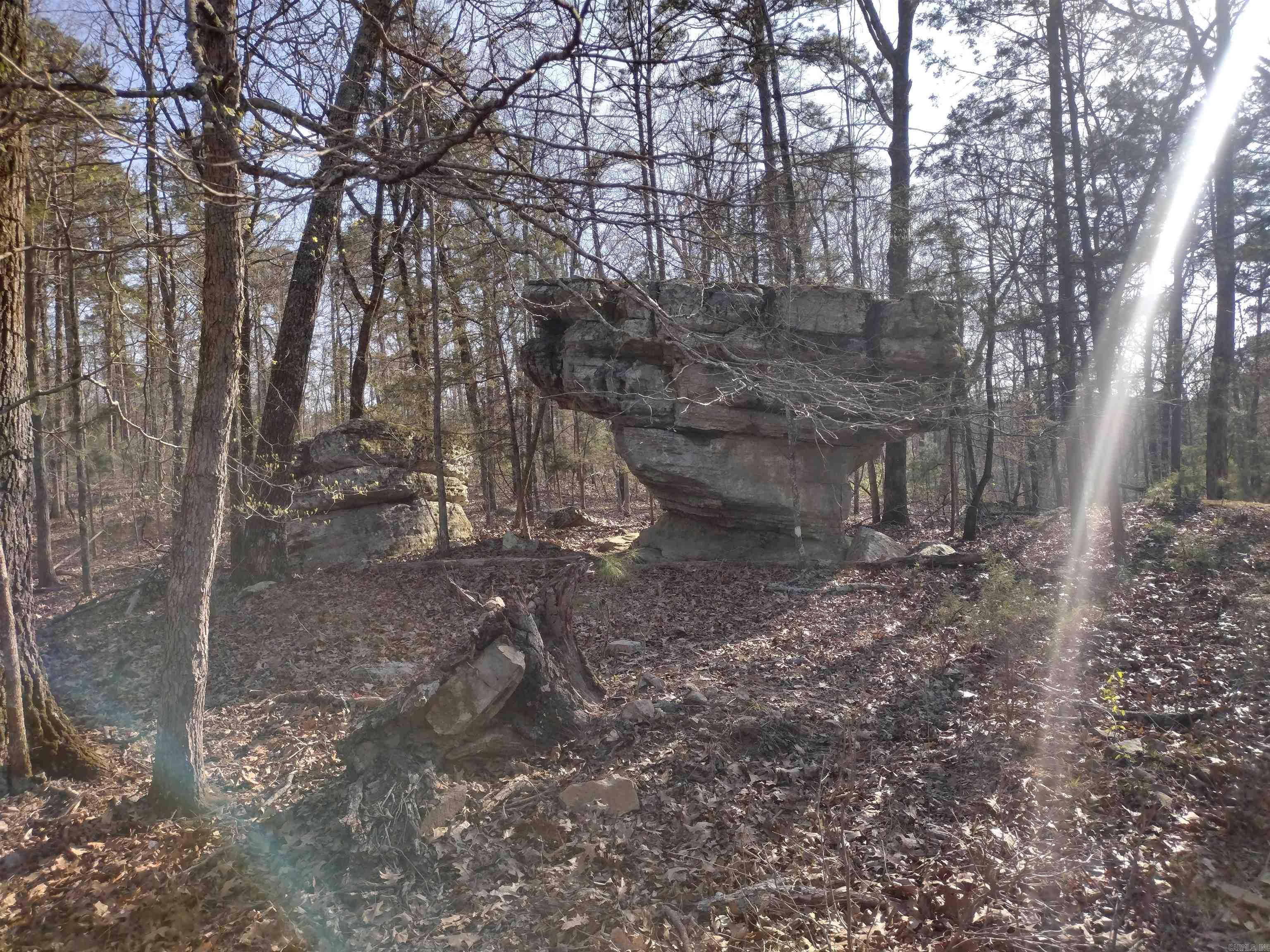 1154 Forest Home LN  Calico Rock, AR