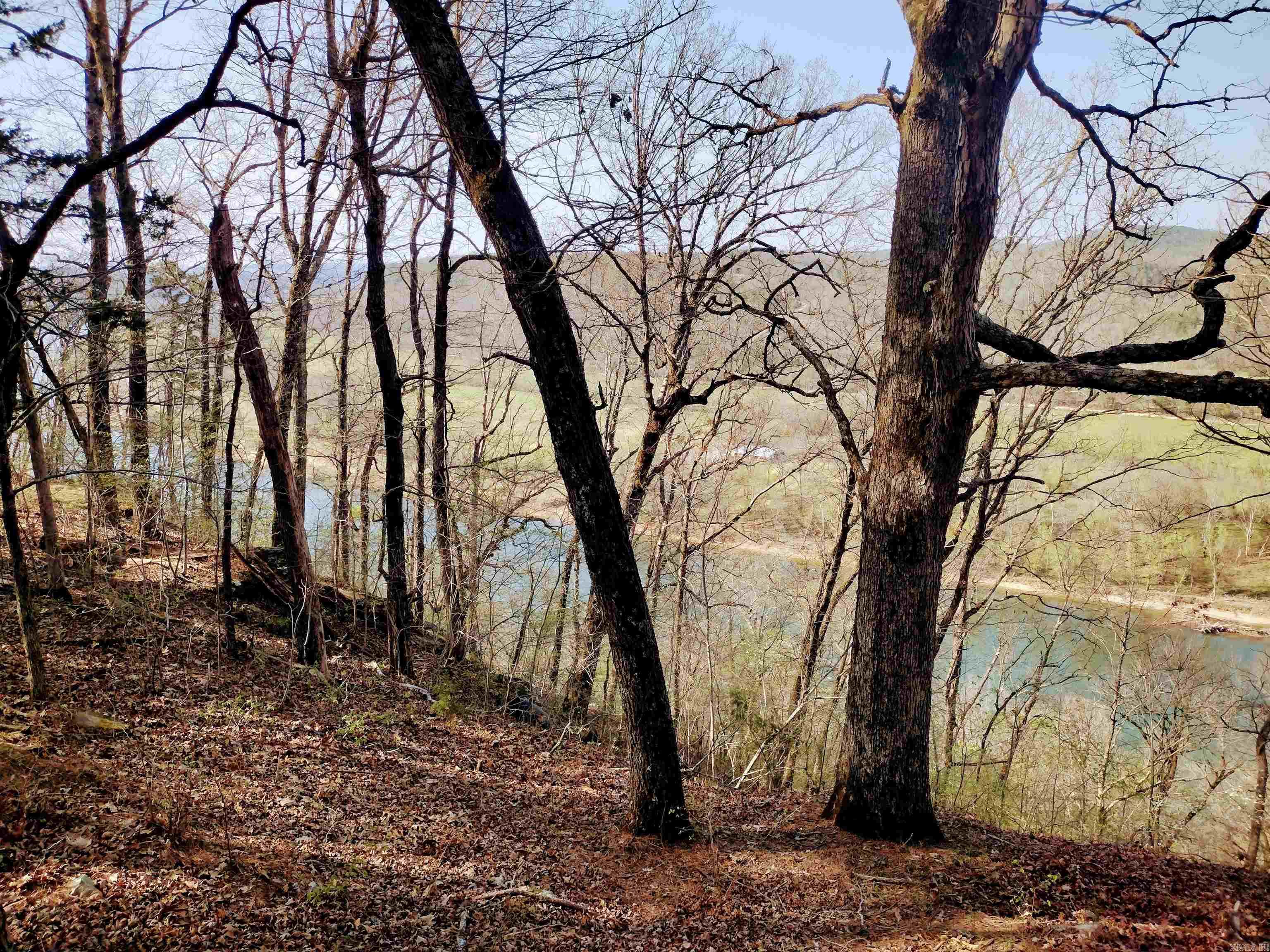 1154 Forest Home LN  Calico Rock, AR
