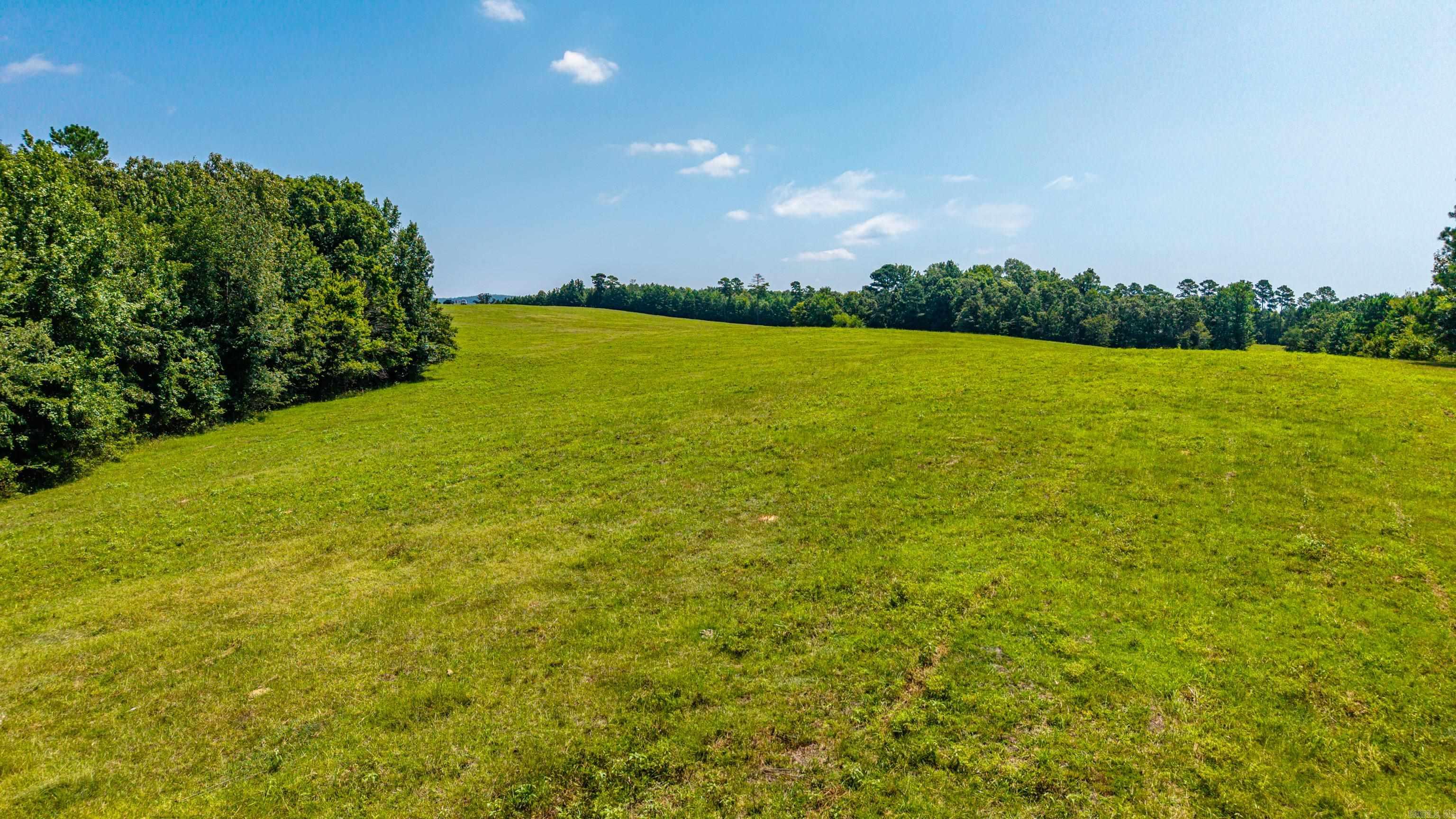 TBD 56.13 Acres Broken Bow Lane  Bismarck, AR