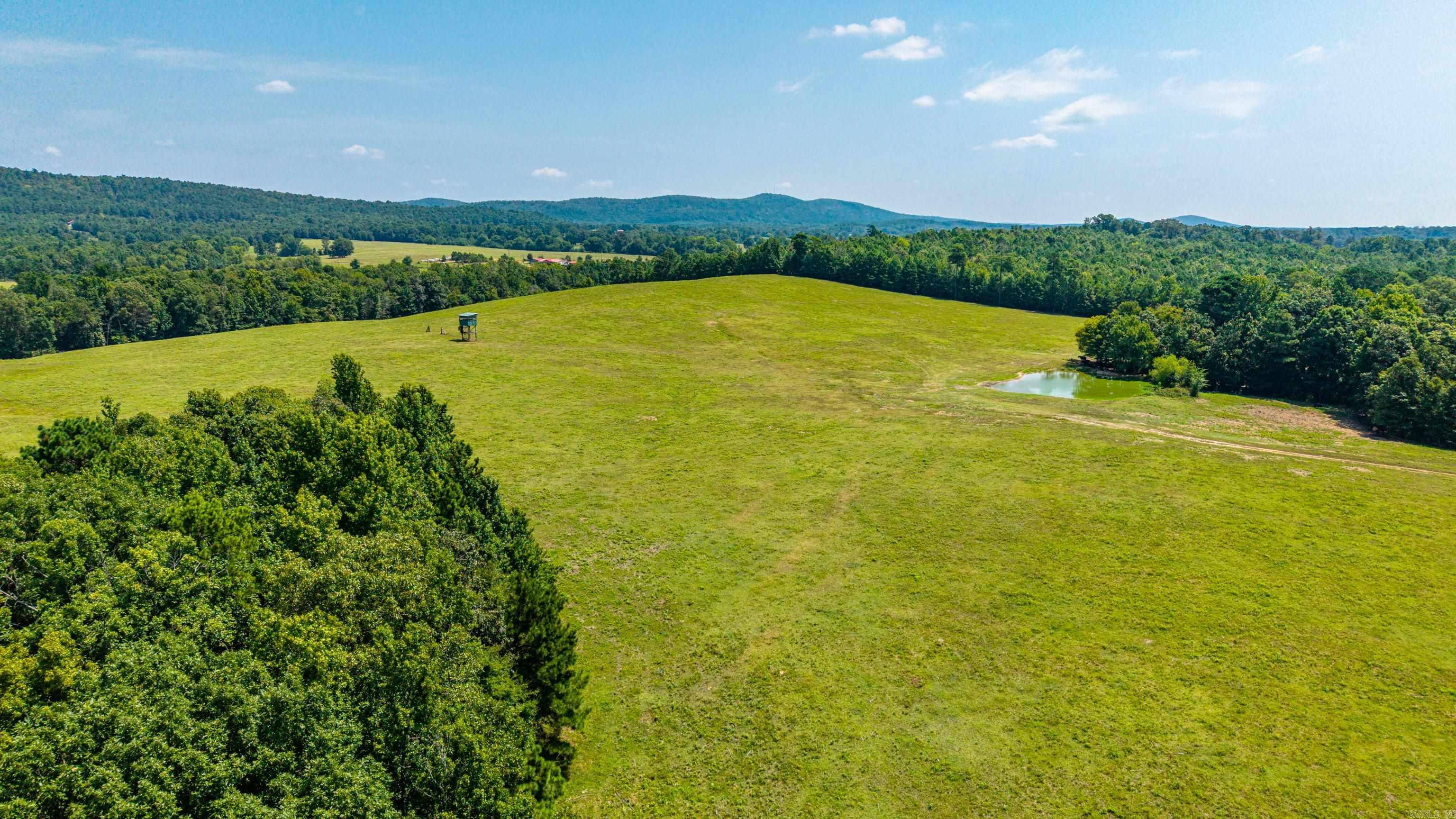TBD 56.13 Acres Broken Bow Lane  Bismarck, AR