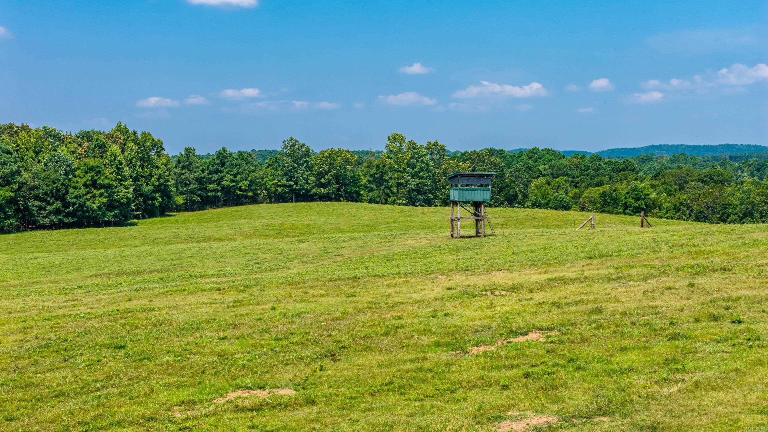 TBD 56.13 Acres Broken Bow Lane  Bismarck, AR