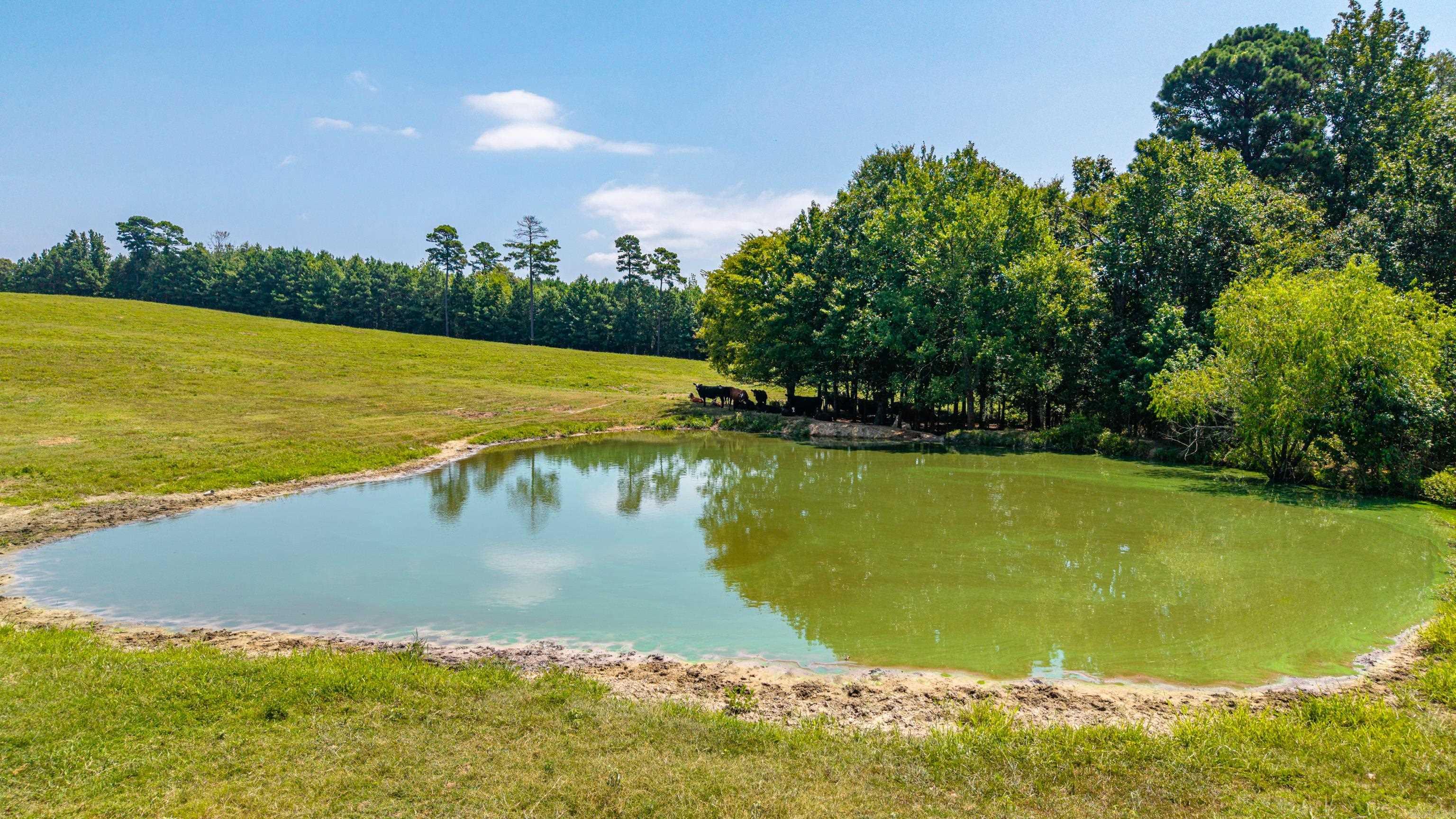 TBD 56.13 Acres Broken Bow Lane  Bismarck, AR