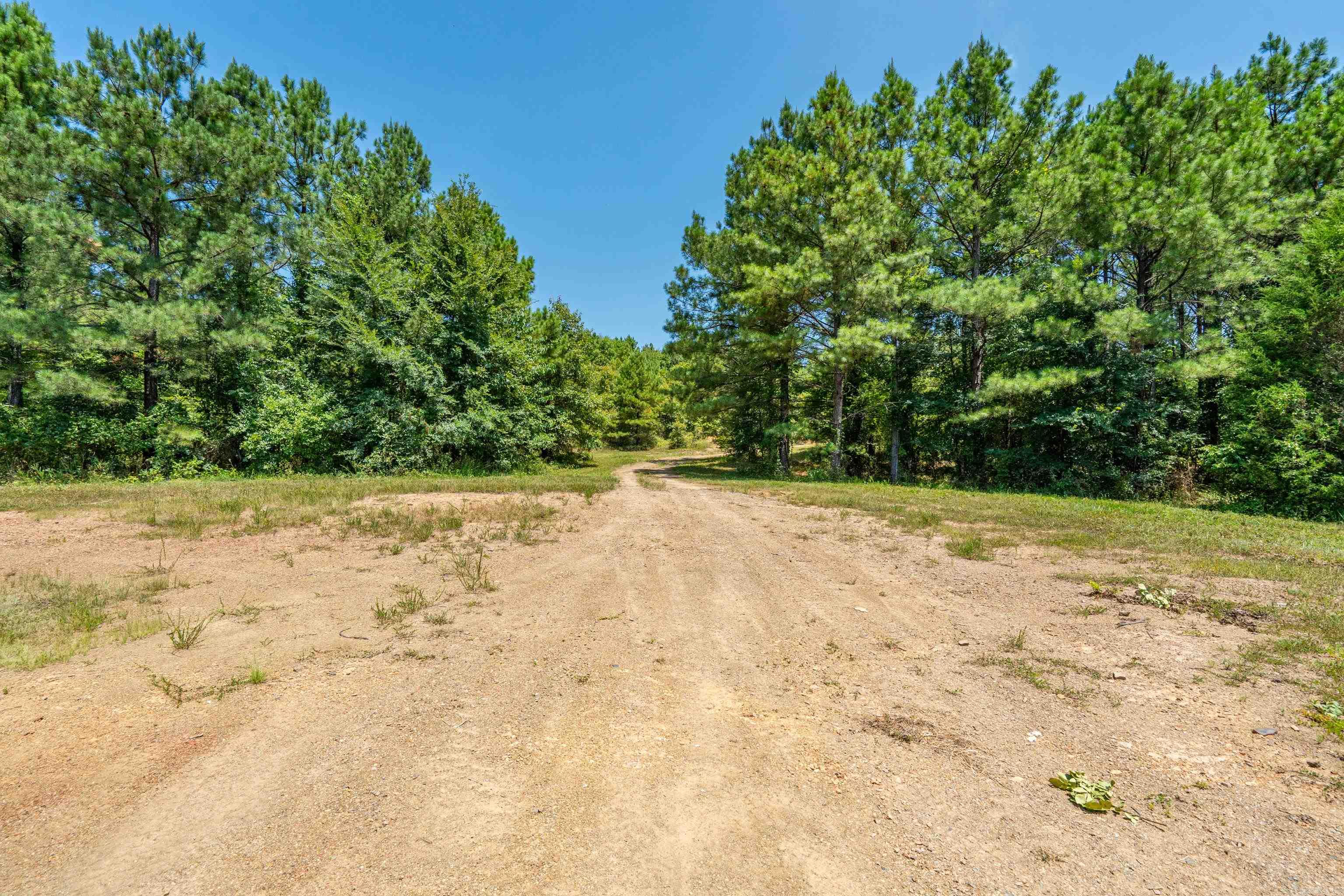 TBD 56.13 Acres Broken Bow Lane  Bismarck, AR