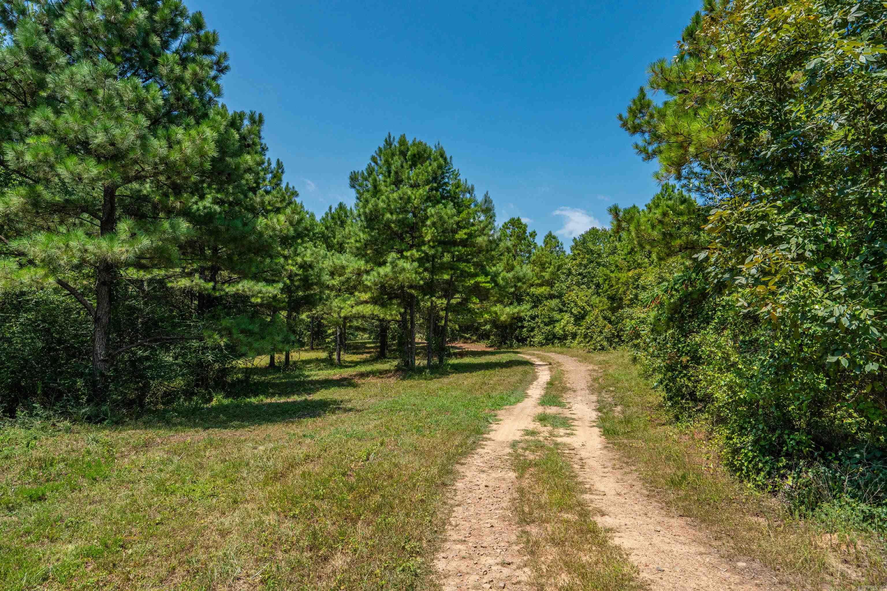 TBD 56.13 Acres Broken Bow Lane  Bismarck, AR