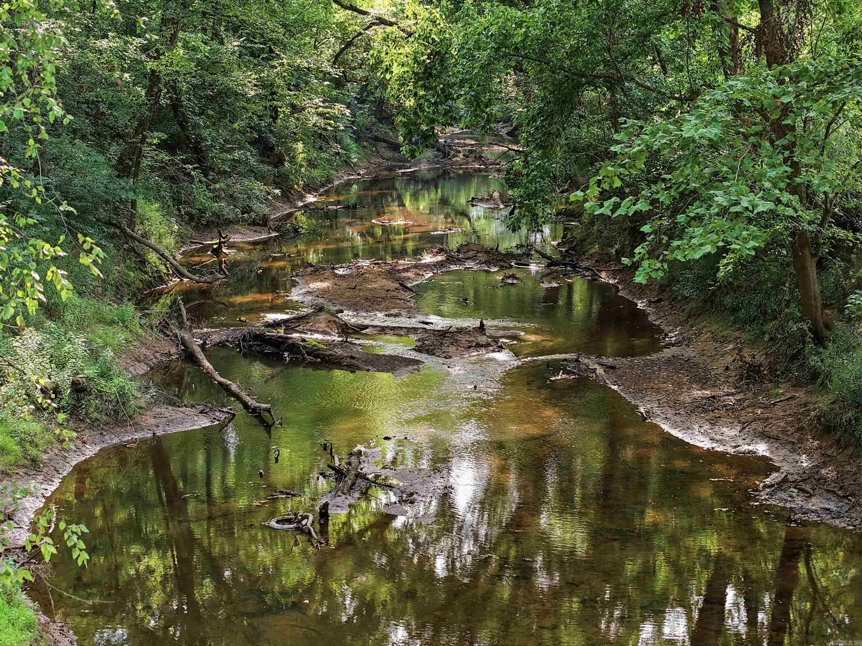 3306 Black Hill Road  Bee Branch, AR