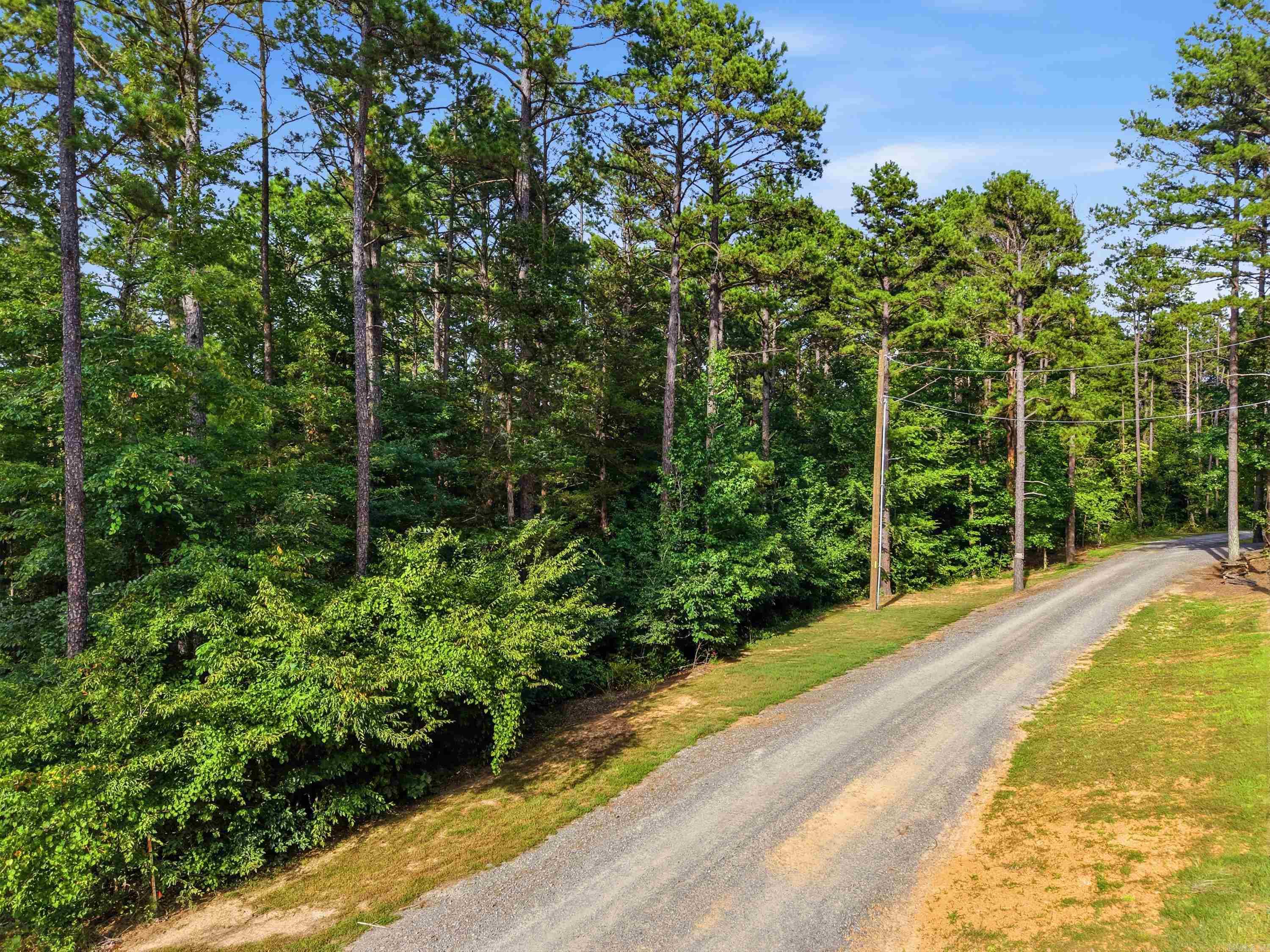 3306 Black Hill Road  Bee Branch, AR