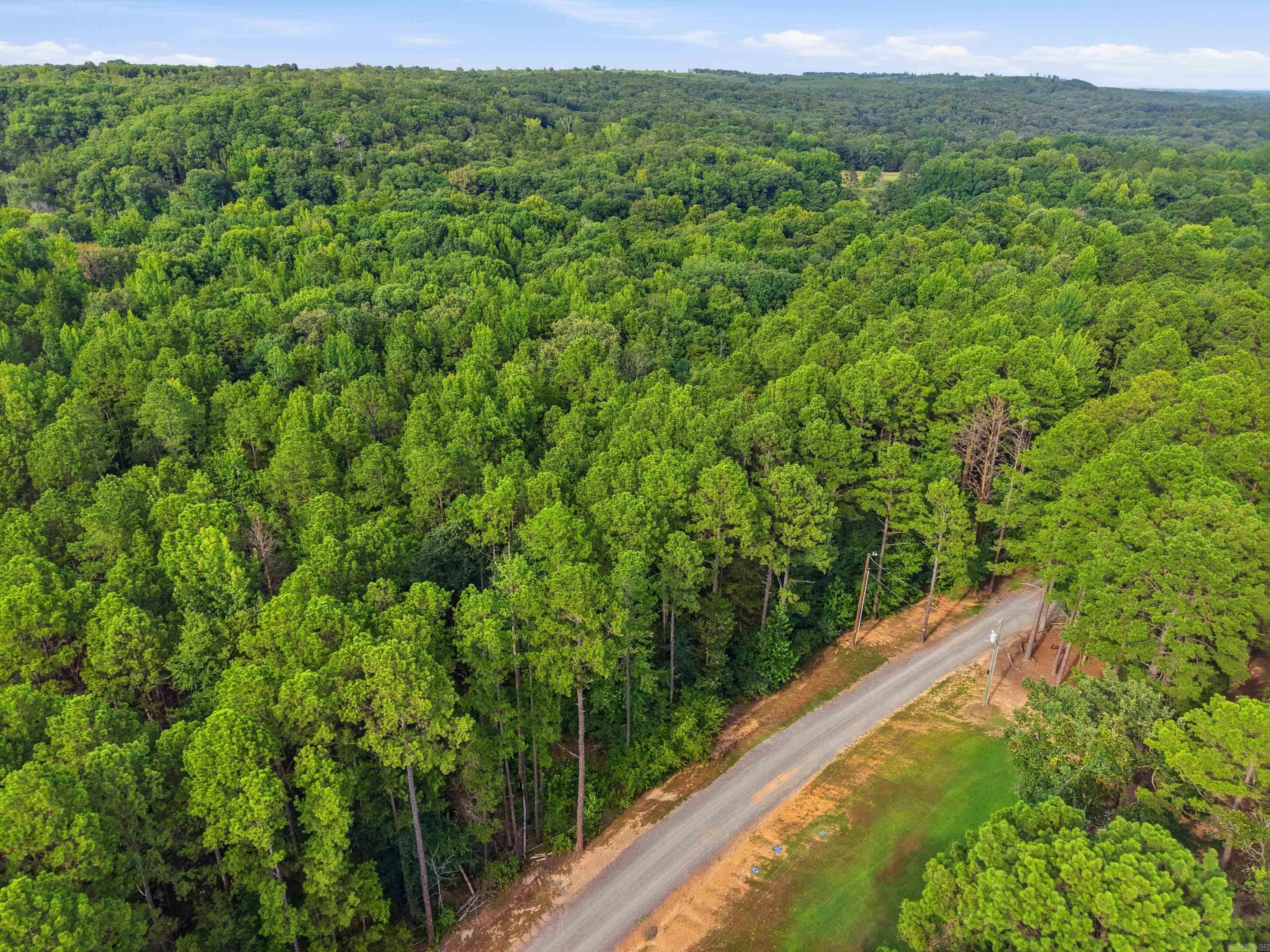 3306 Black Hill Road  Bee Branch, AR