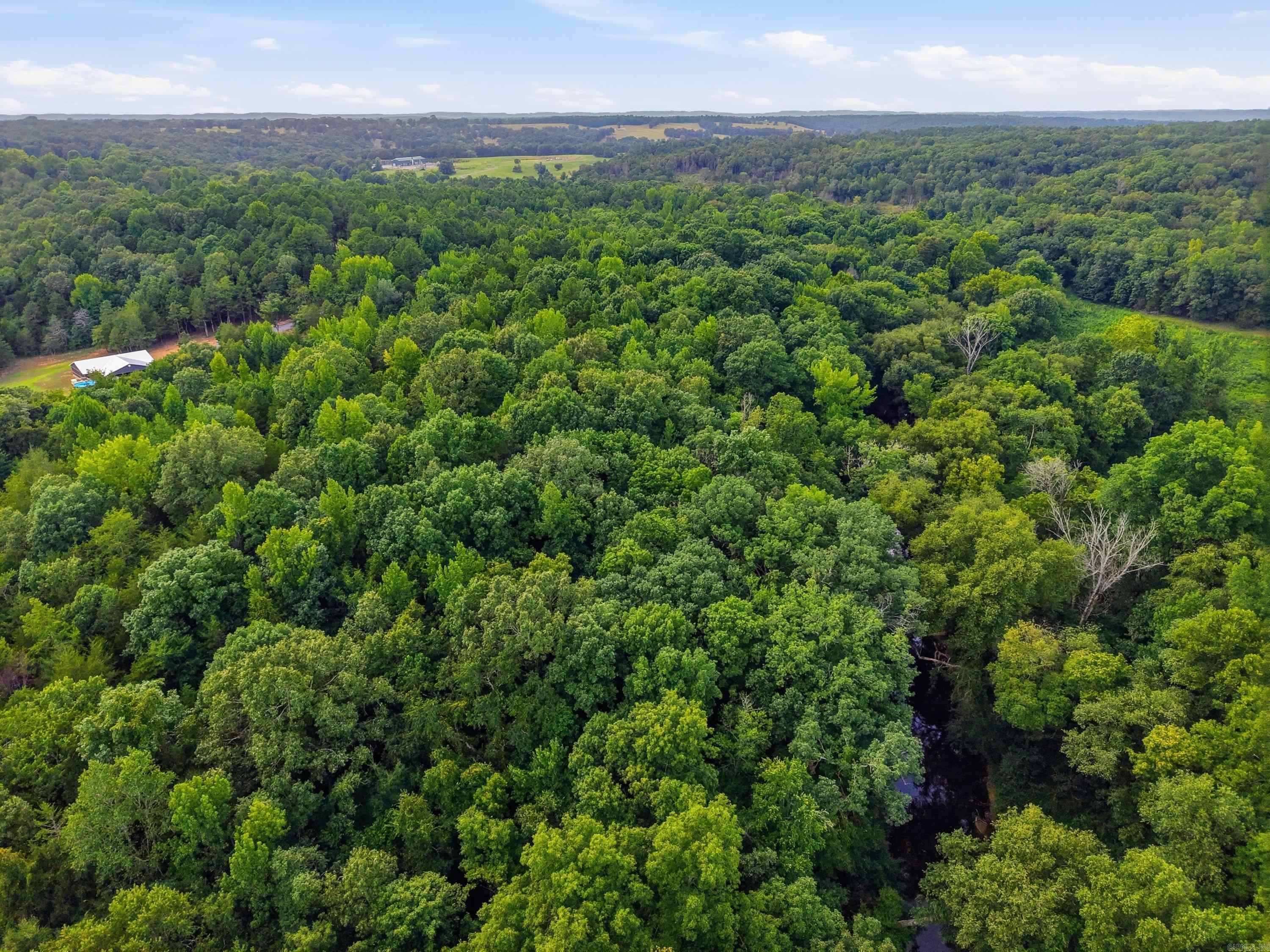3306 Black Hill Road  Bee Branch, AR