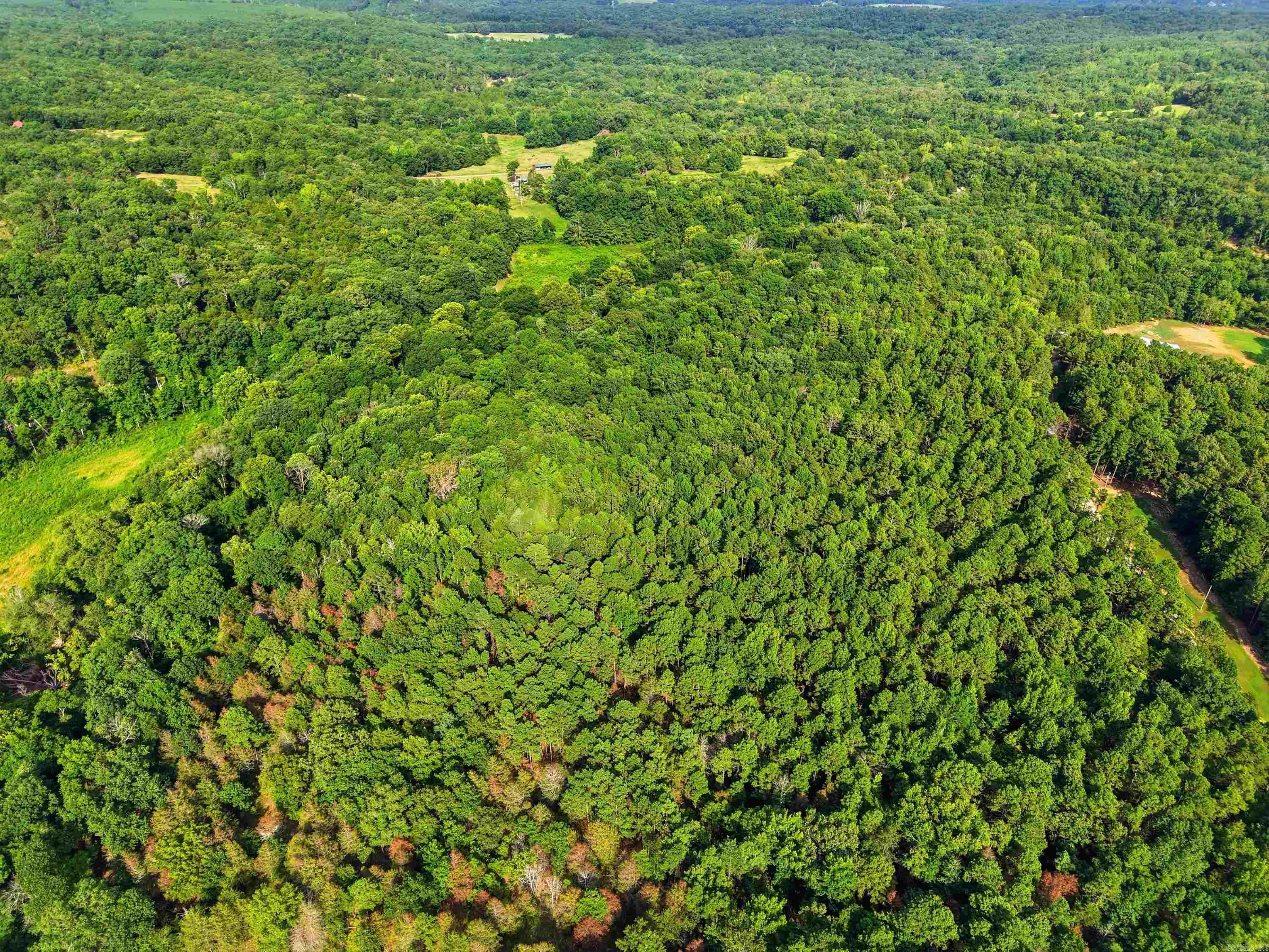 3306 Black Hill Road  Bee Branch, AR