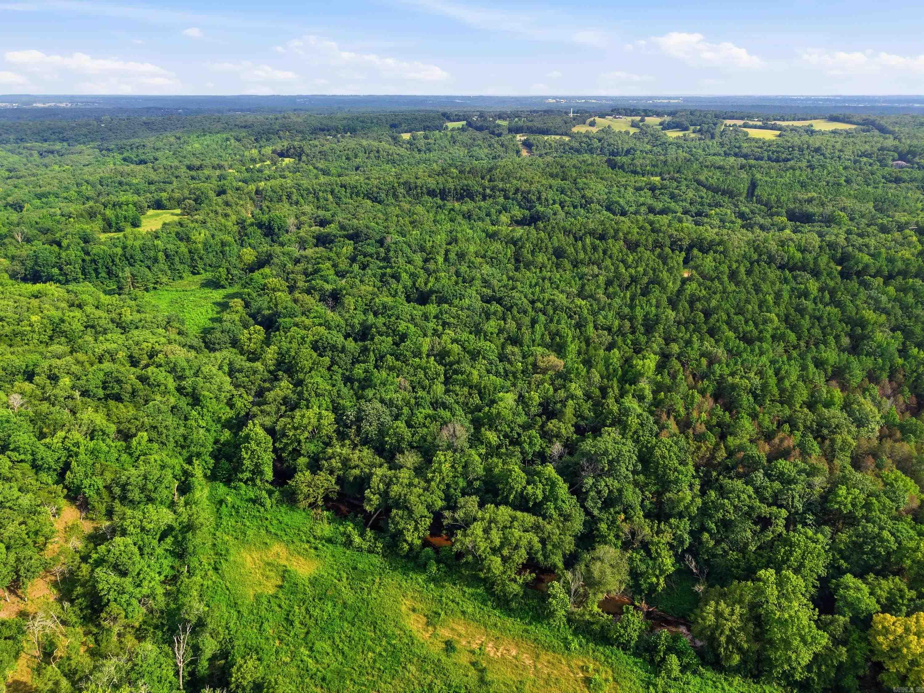 3306 Black Hill Road  Bee Branch, AR