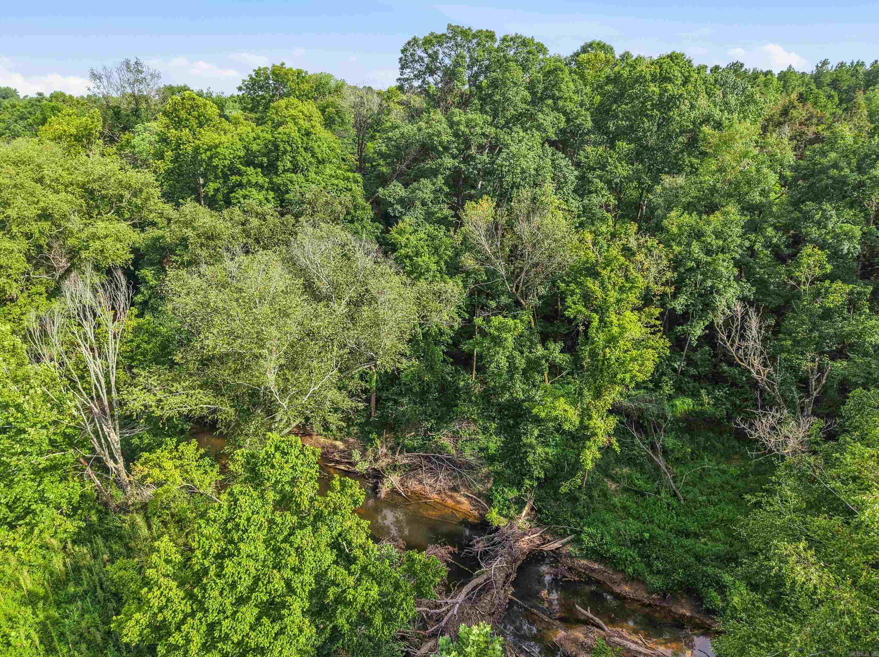 3306 Black Hill Road  Bee Branch, AR