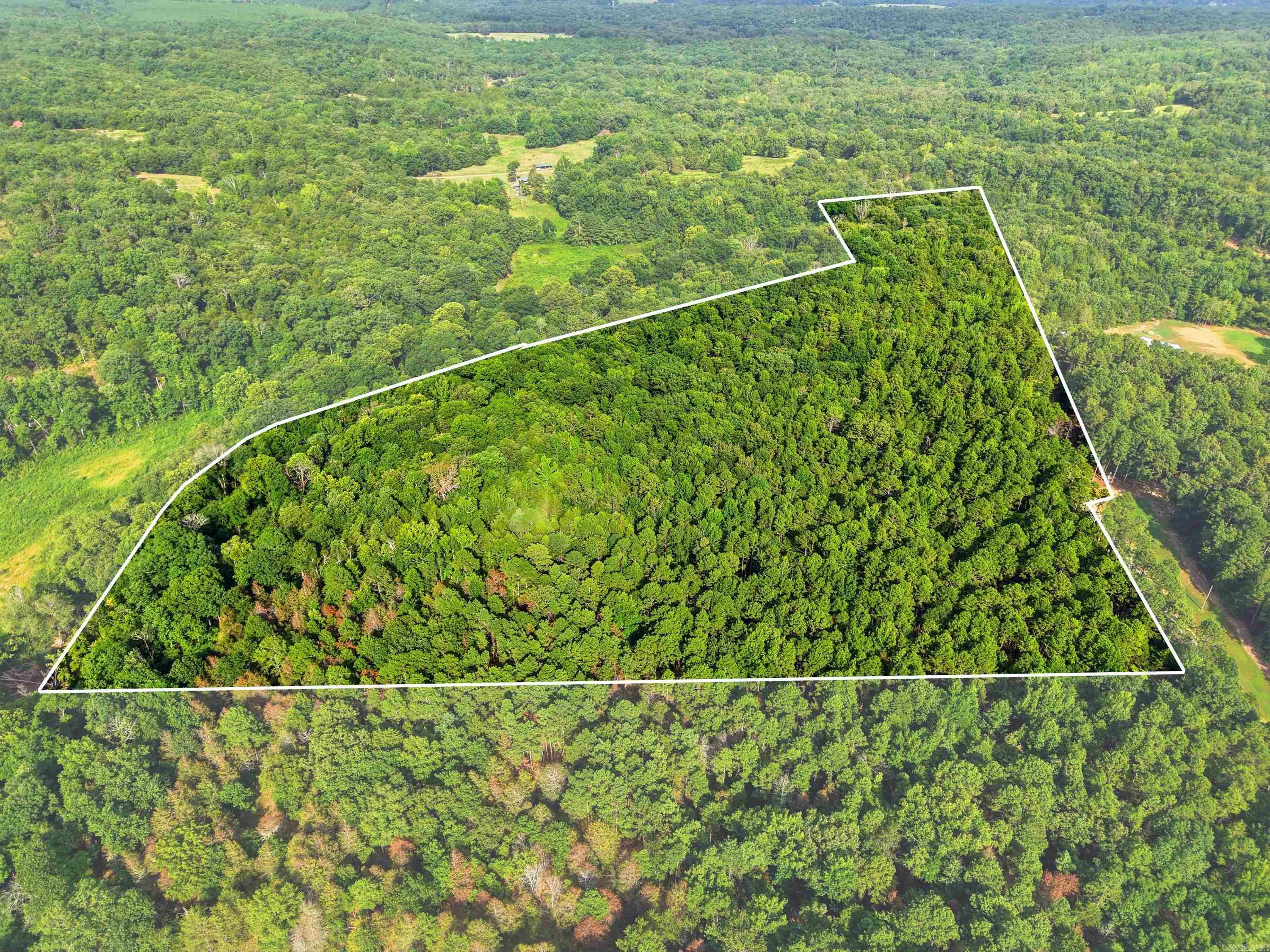 3306 Black Hill Road  Bee Branch, AR