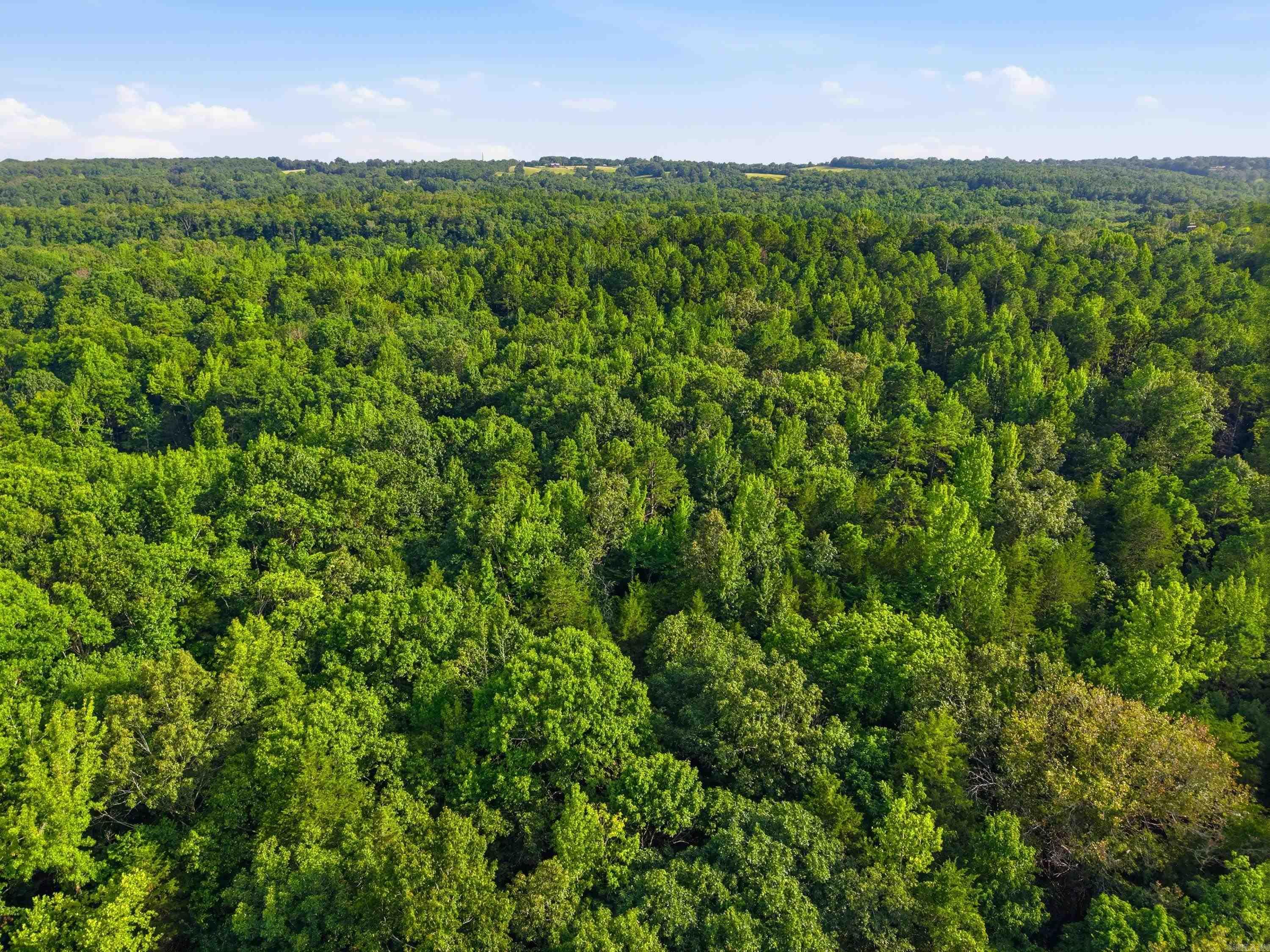 3306 Black Hill Road  Bee Branch, AR